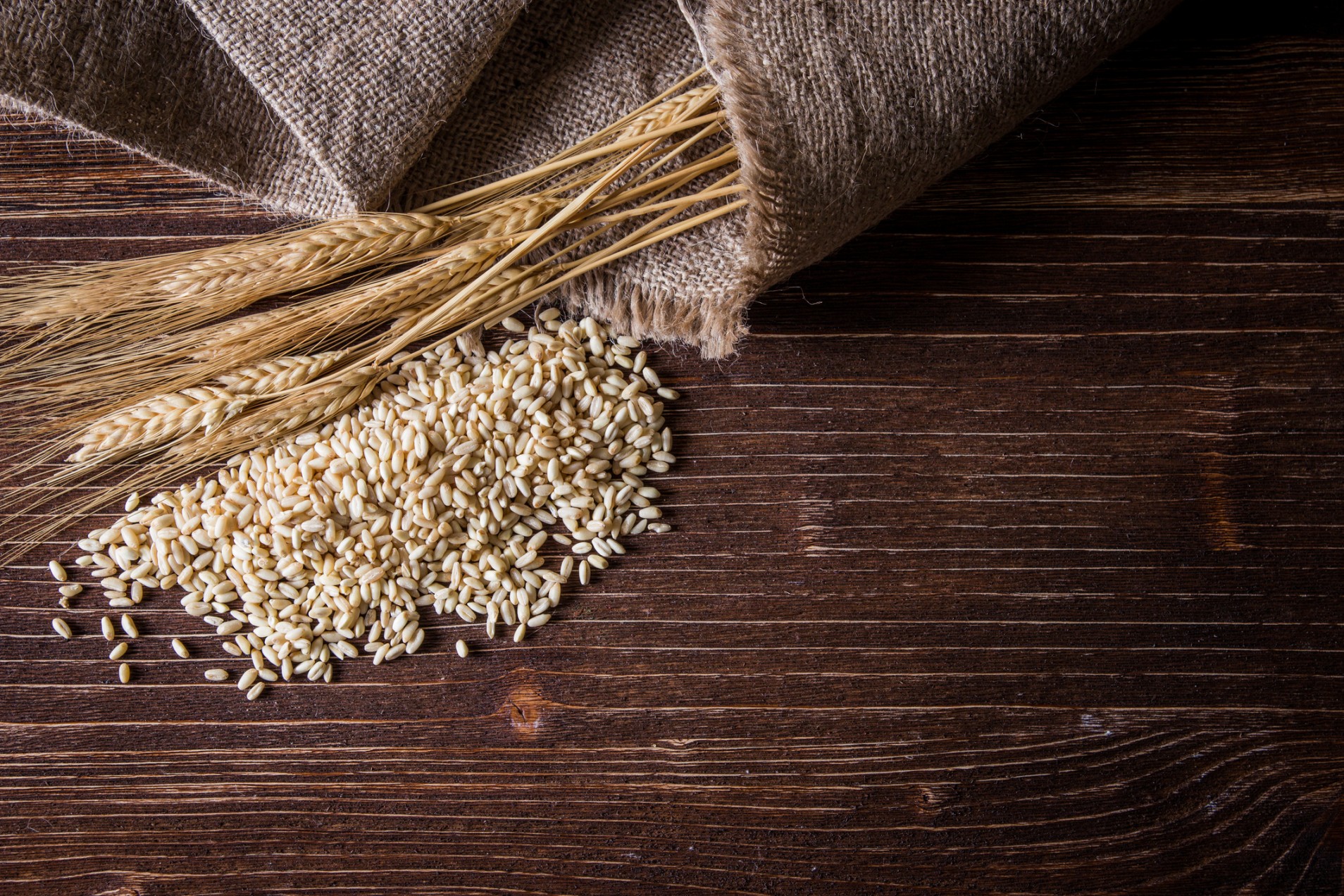 Gluten and Autoimmunity – Nothing New!