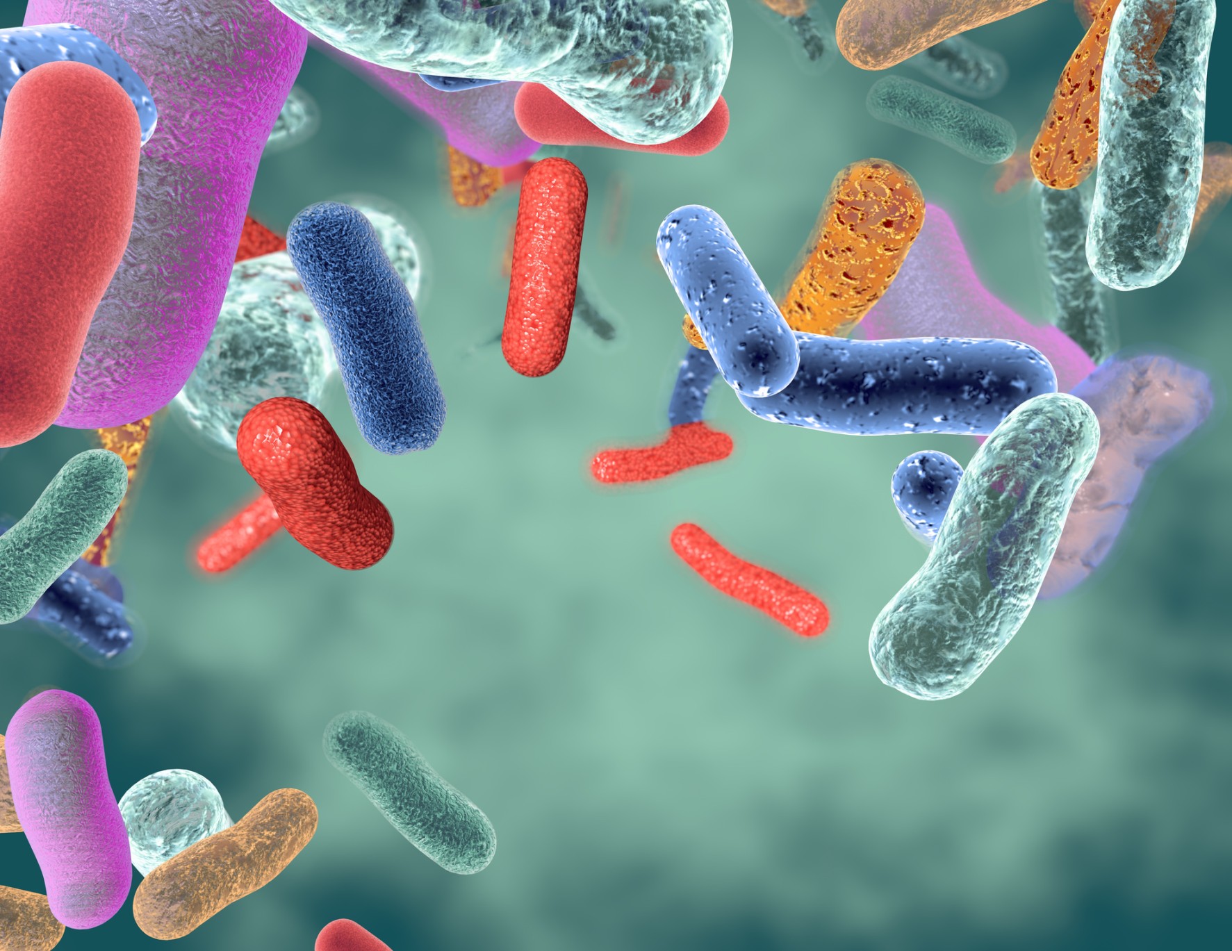 Common Emulsifiers (surfactants) Impact the Gut Microbiota