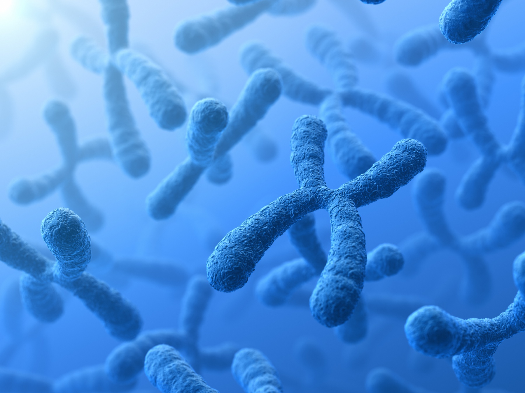 Elderly Chromosomes Trigger Genes Differently Than in the Young
