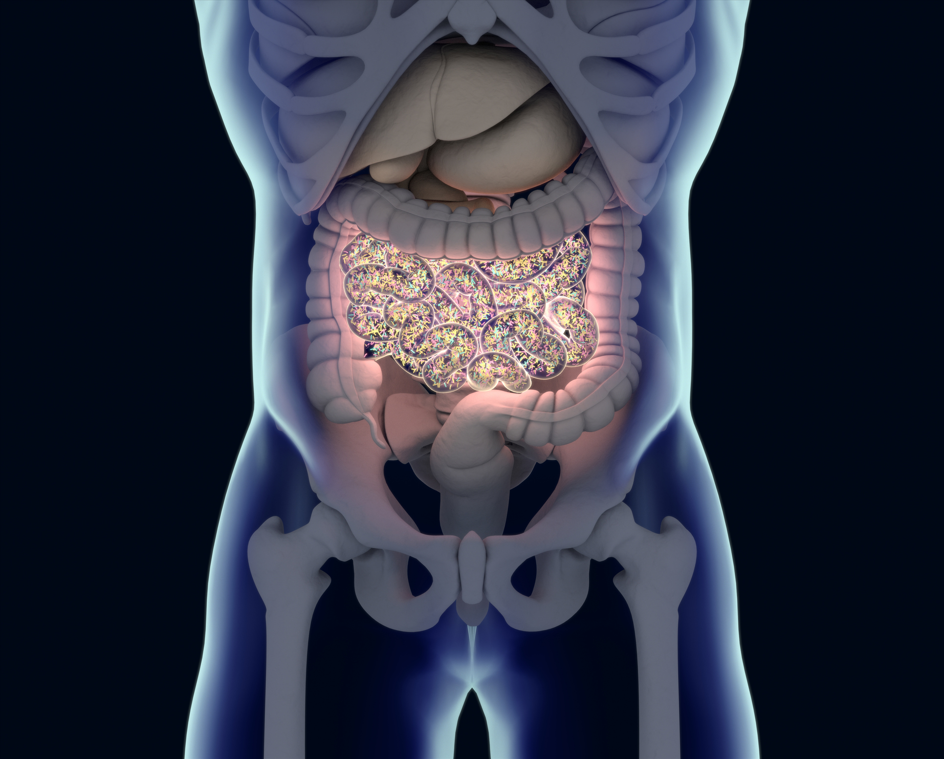 Gut Microbiota Influencing Obesity