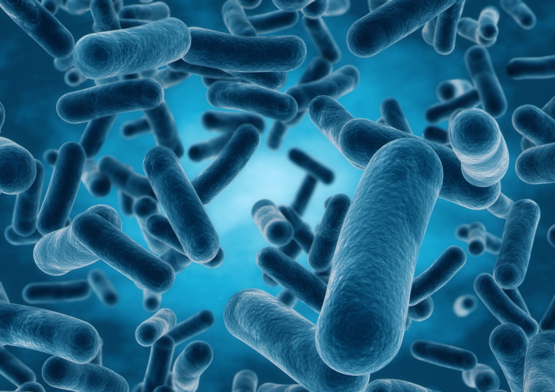 Nutrients Turned to Toxins in Chronic Kidney Disease