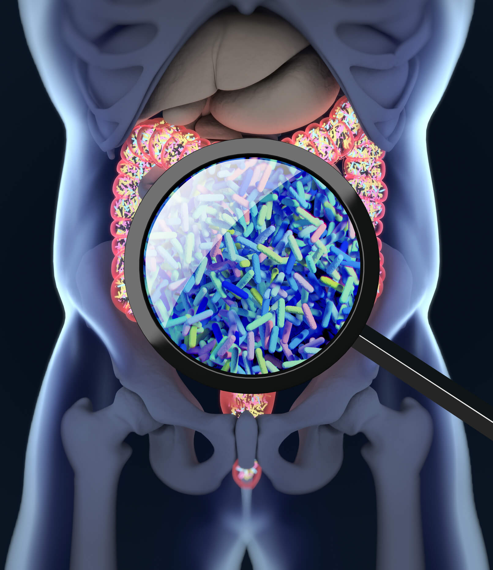 6 Foods that Foster the Microbiome