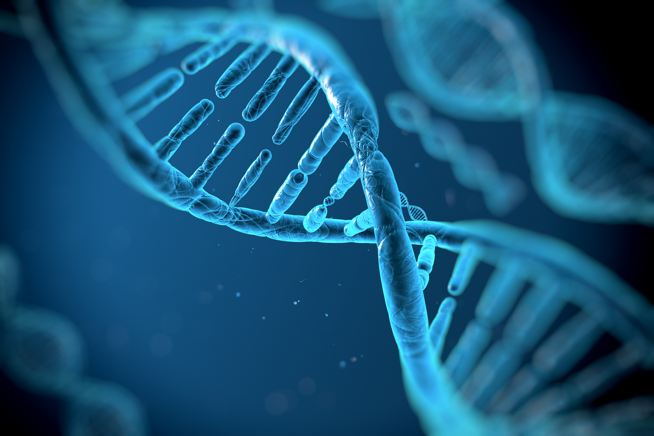 SNPs Involved in Manganese Deficiency