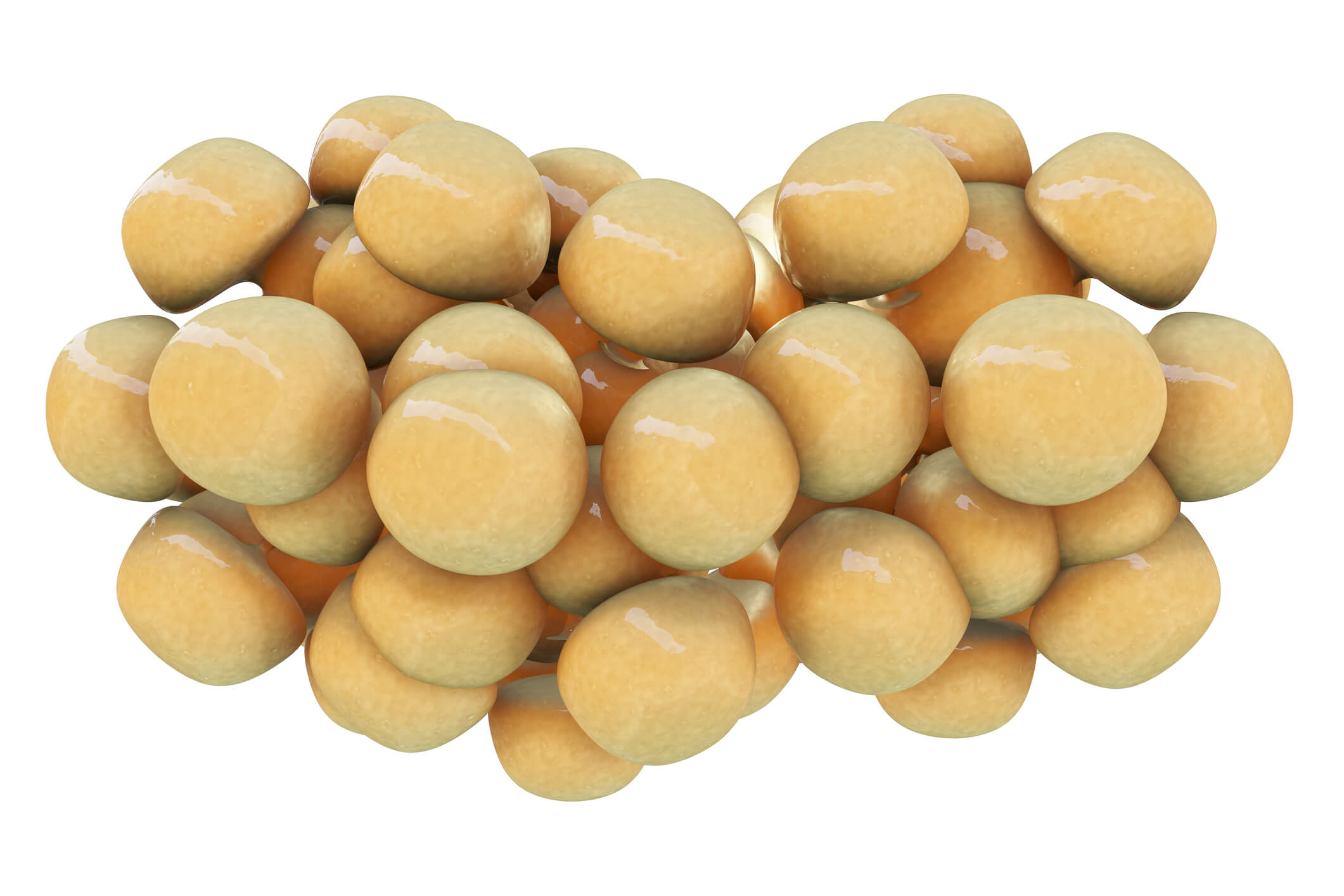 What Can Brown Fat Do for You?