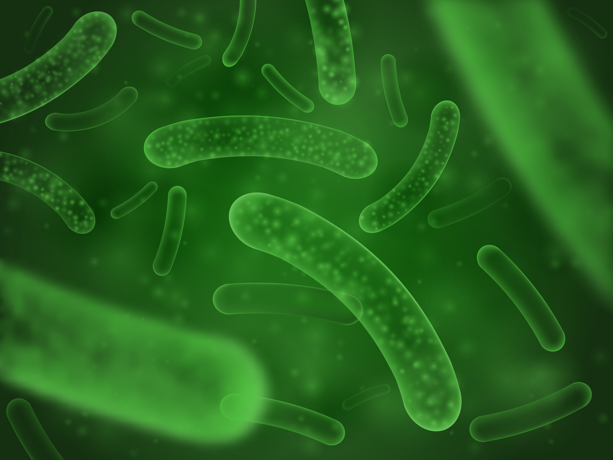 Probiotics May Improve Metabolic Profiles
