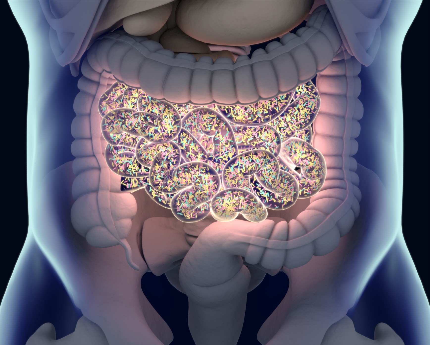 Deeper Dive into the Gut-Brain Connection