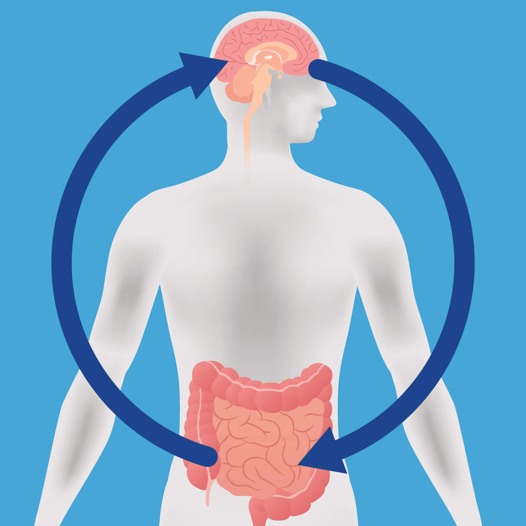 Probiotics and the Brain