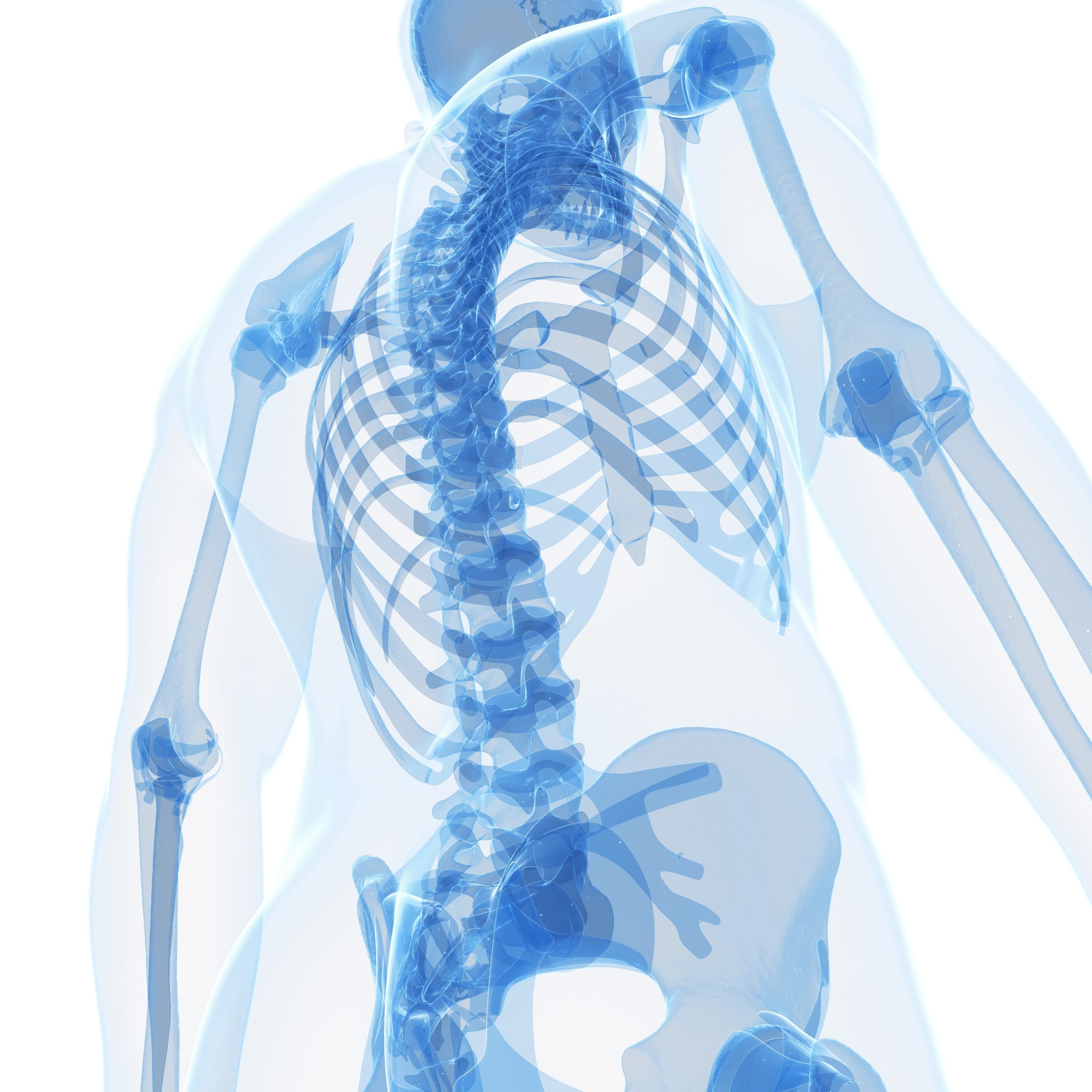 Mineral-Rich Diet Beats Exercise for Bone Health