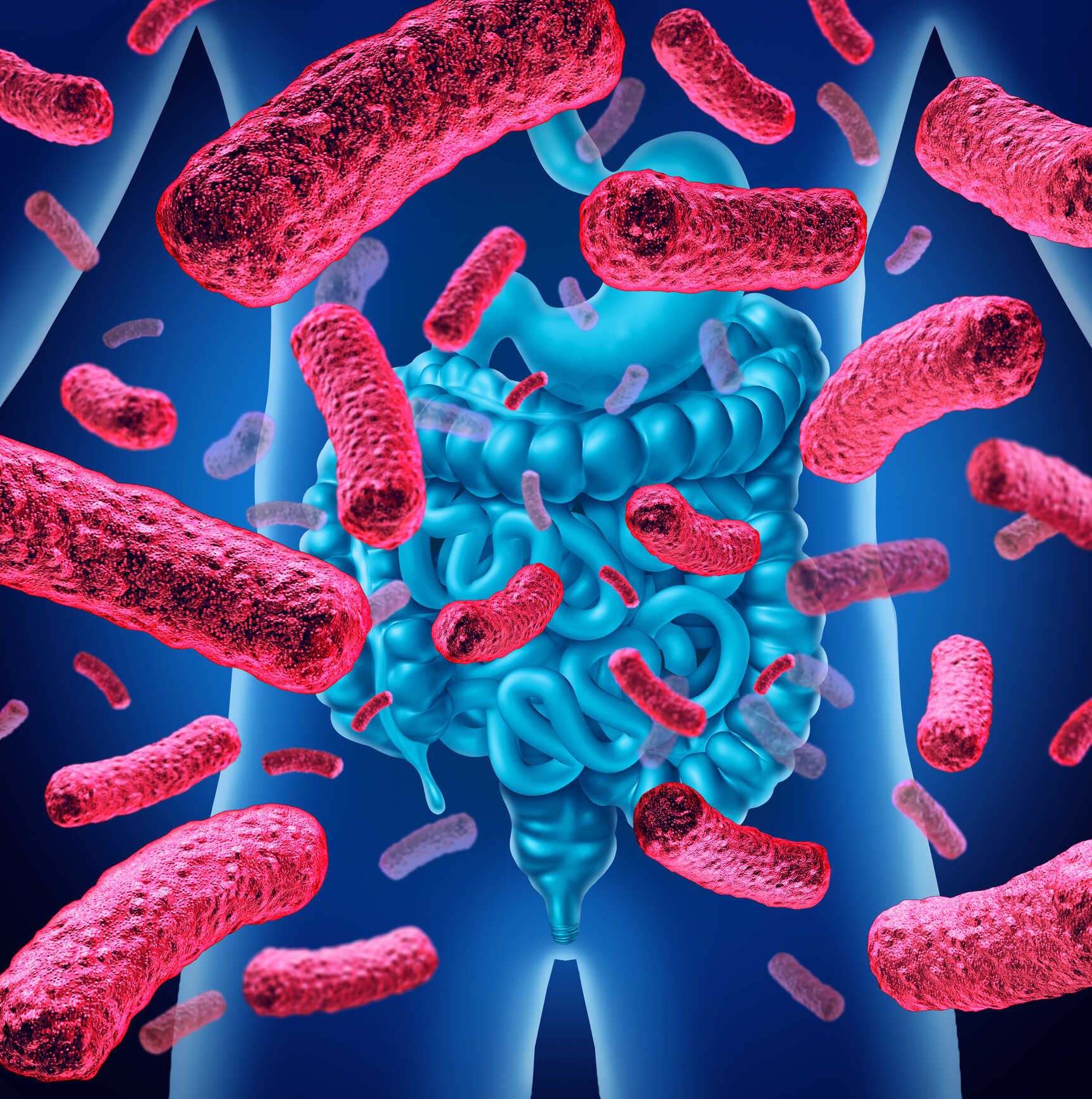 Probiotics for Immune Support