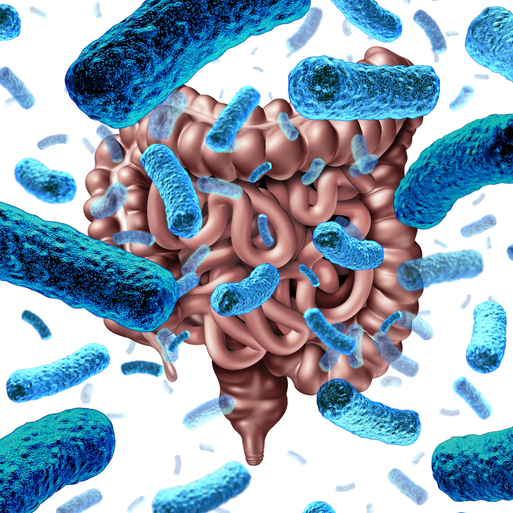Gut Microbiota and the Neuroendocrine System