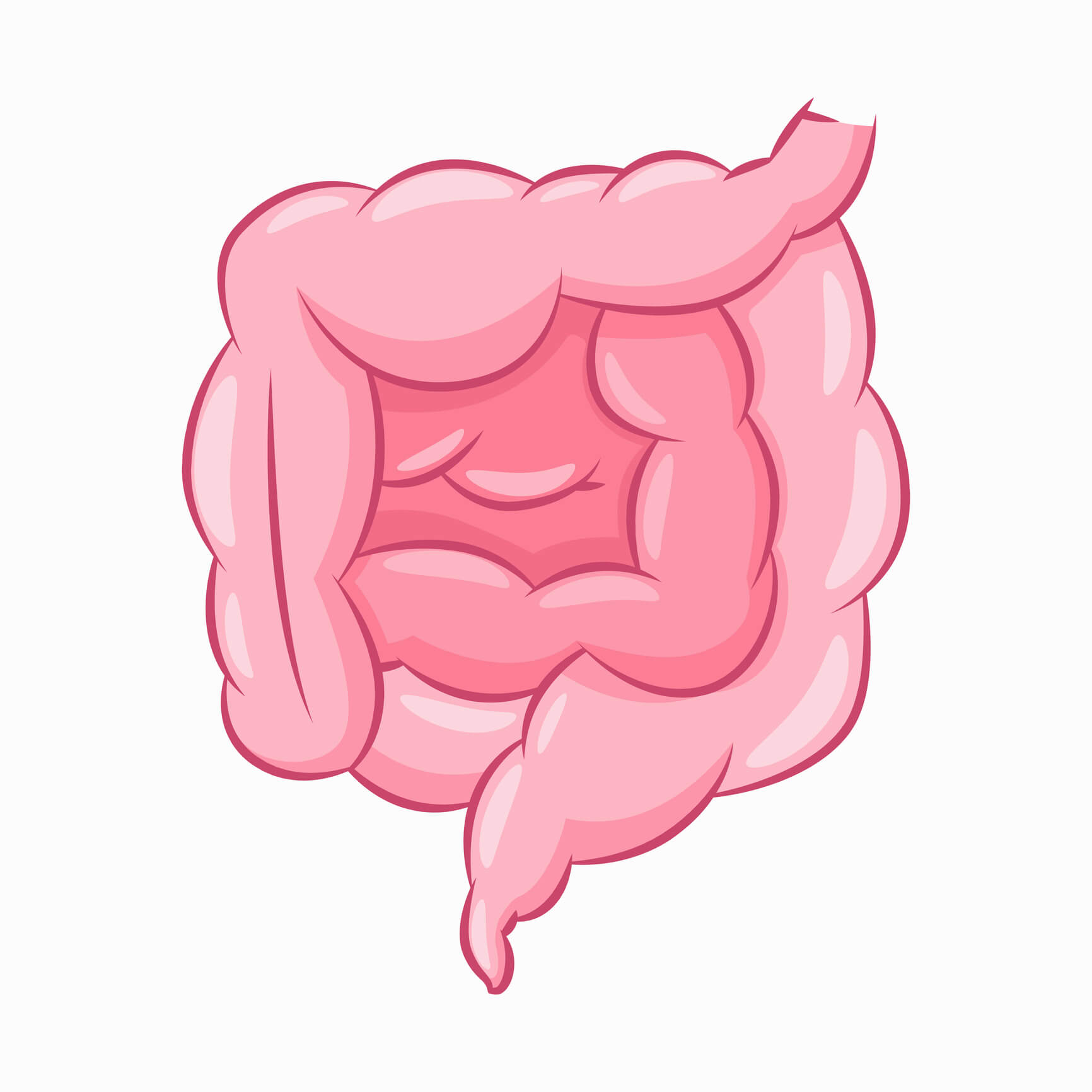 Impact of Diet on Baby’s Microbiome