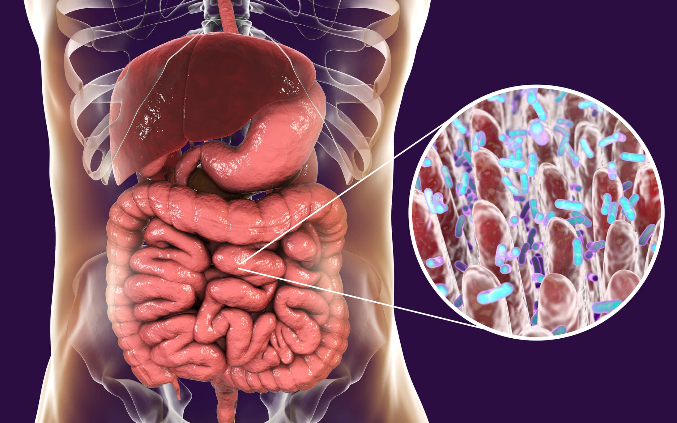 5 Surprising Things that Hurt Your Microbiome