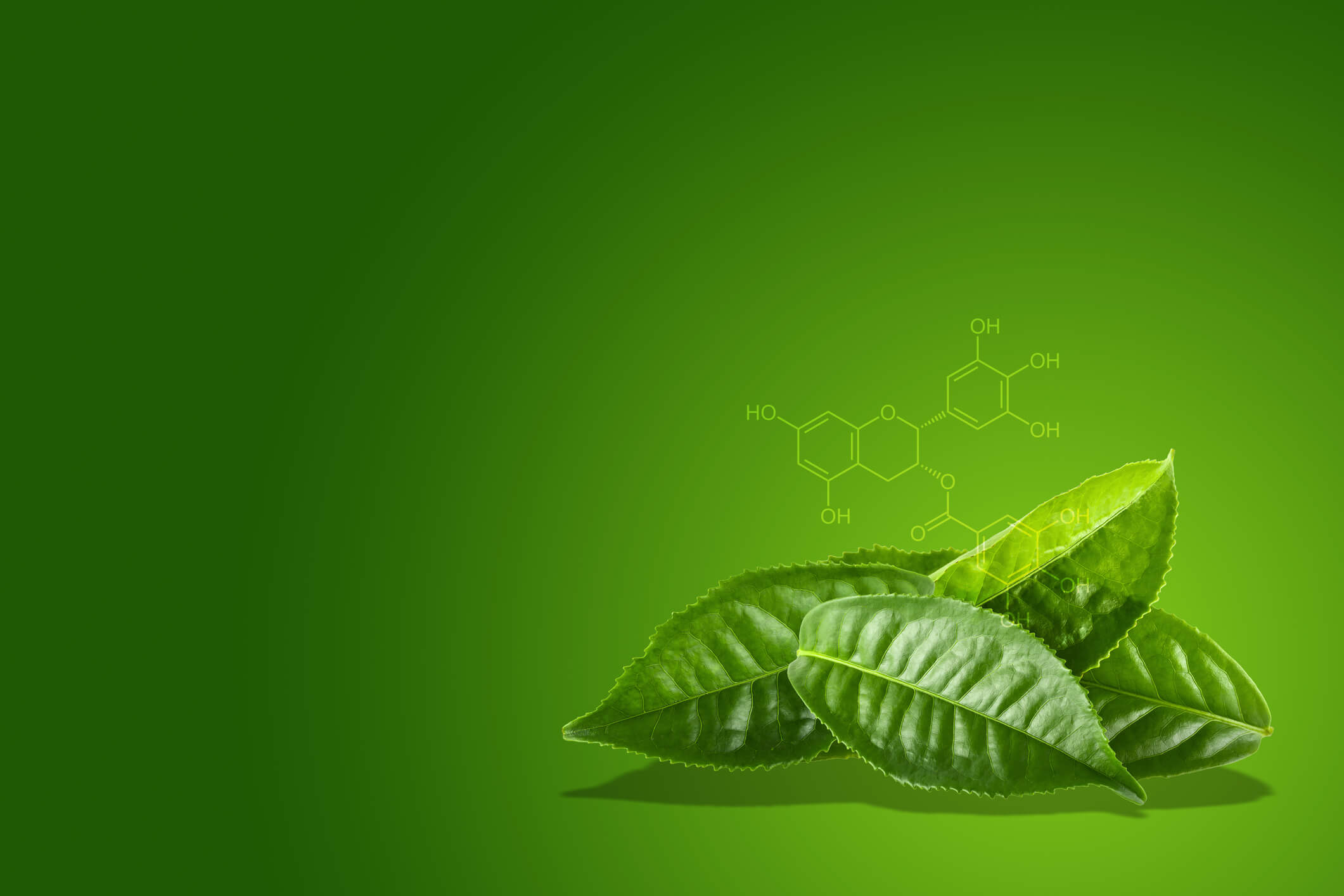Neurological Benefits of Green Tea