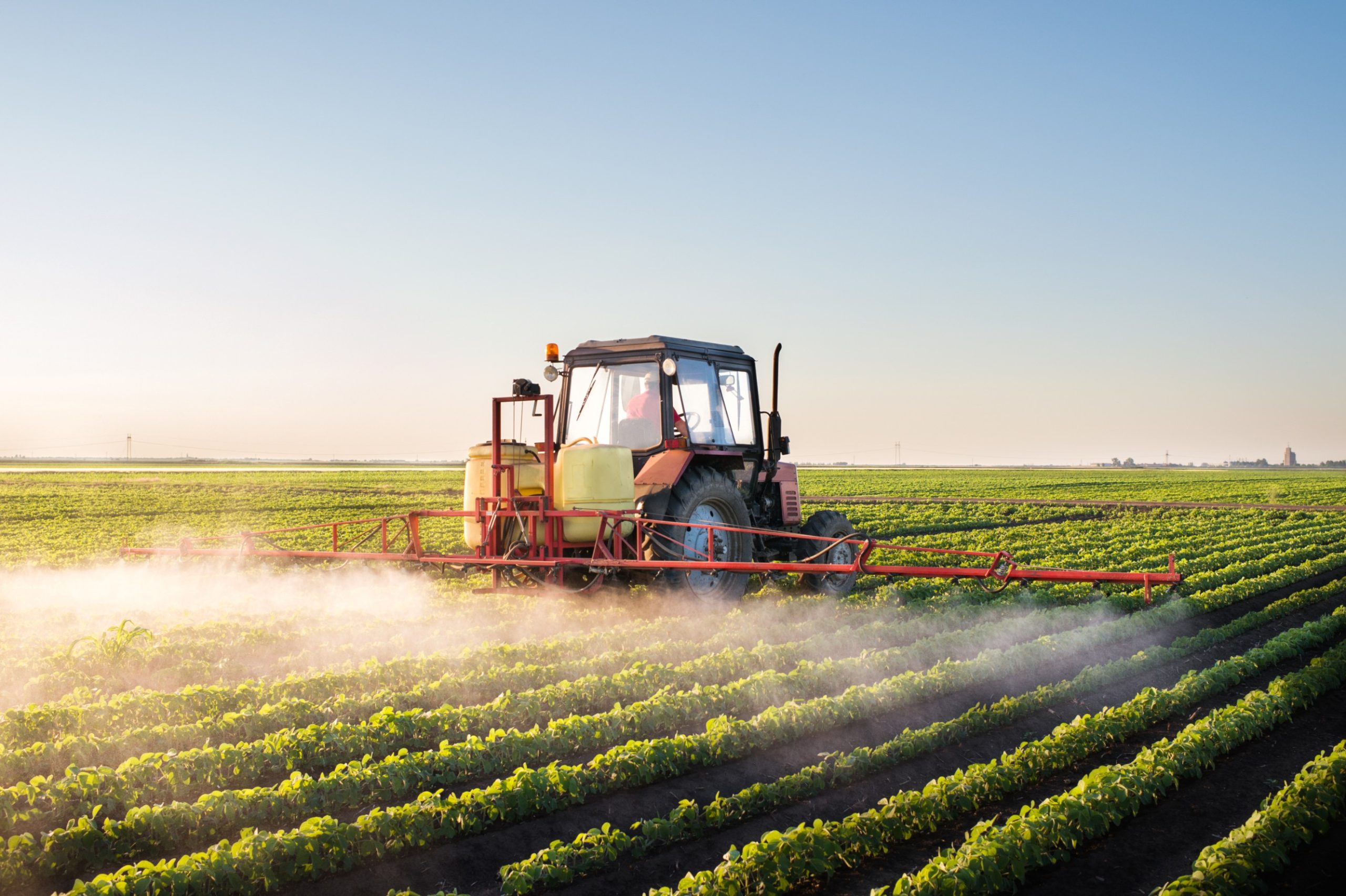 The Health Effects of Popular Weed Killer in Second- and Third-Generation Offspring