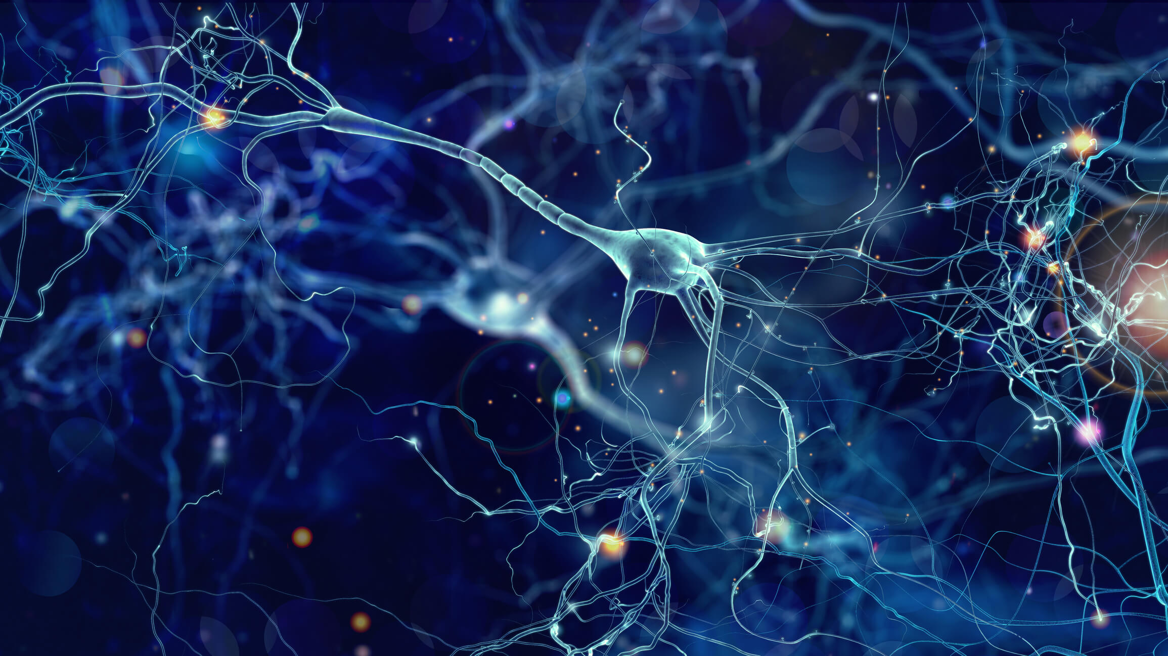 Newly Discovered Metronome Neuron Cells