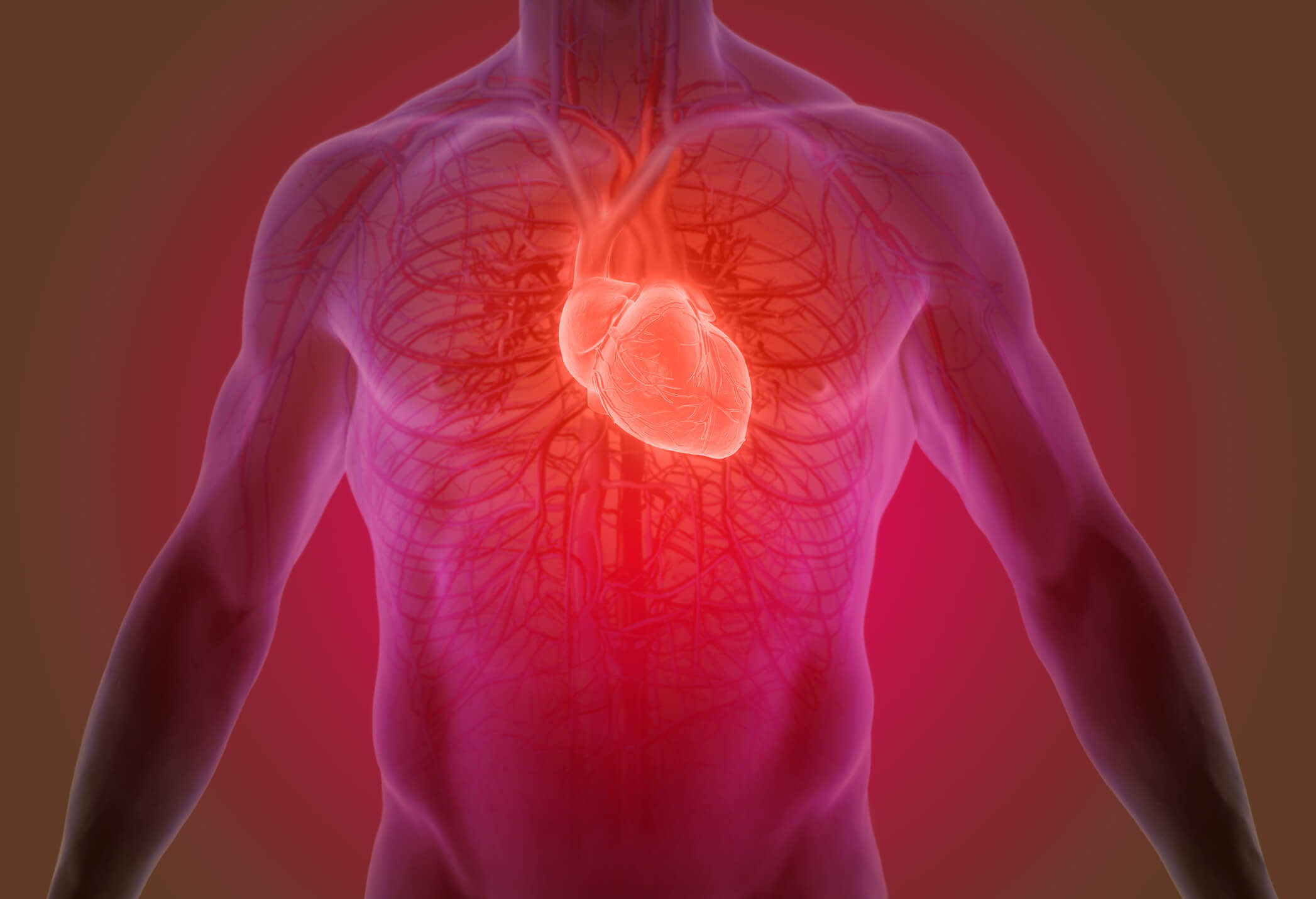 New Paper Reveals Three Finite Vascular Responses that Cause Cardiovascular Disease