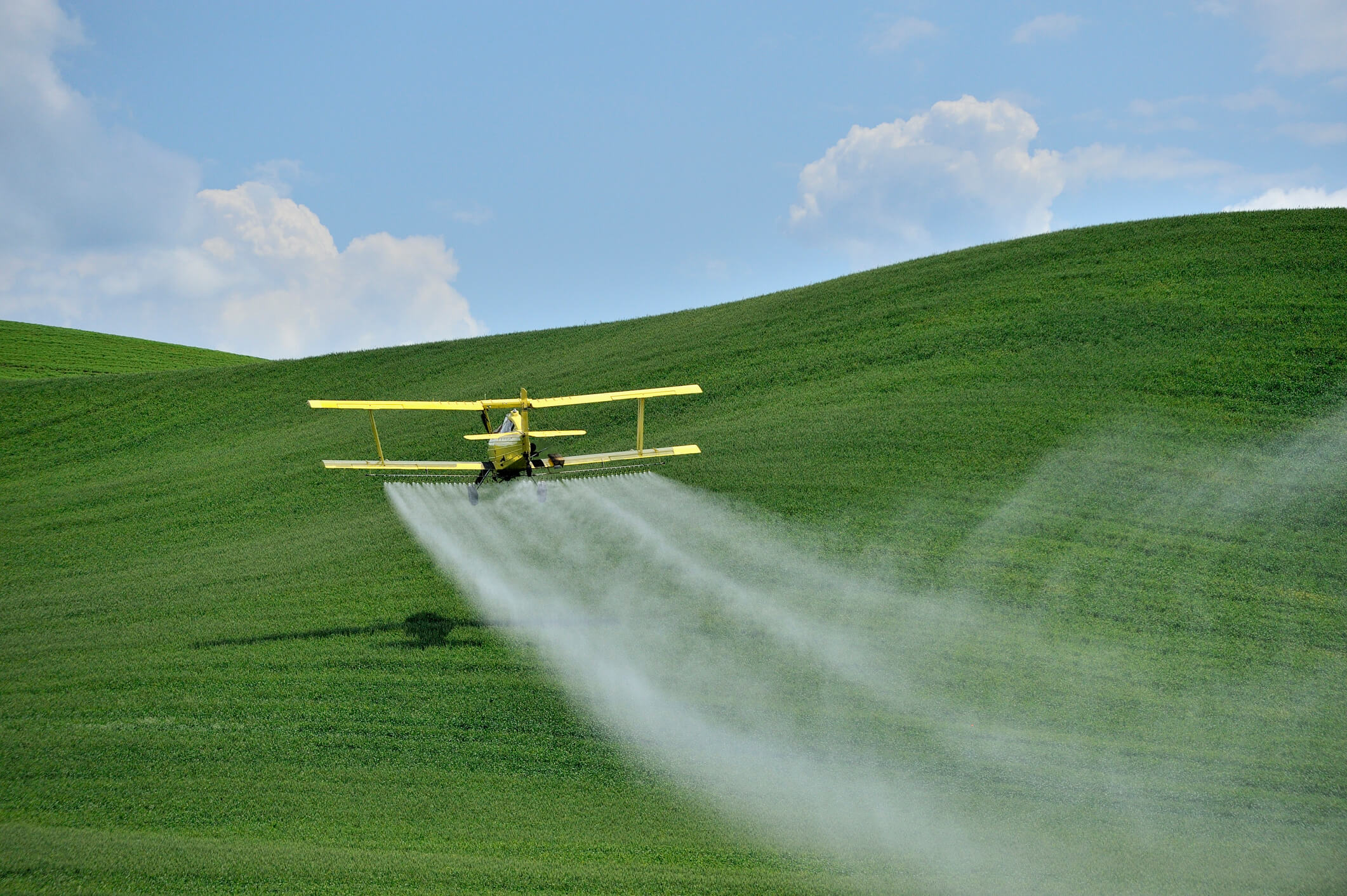 Prenatal Pesticide Exposure Linked to Changes in Teen’s Brain Activity