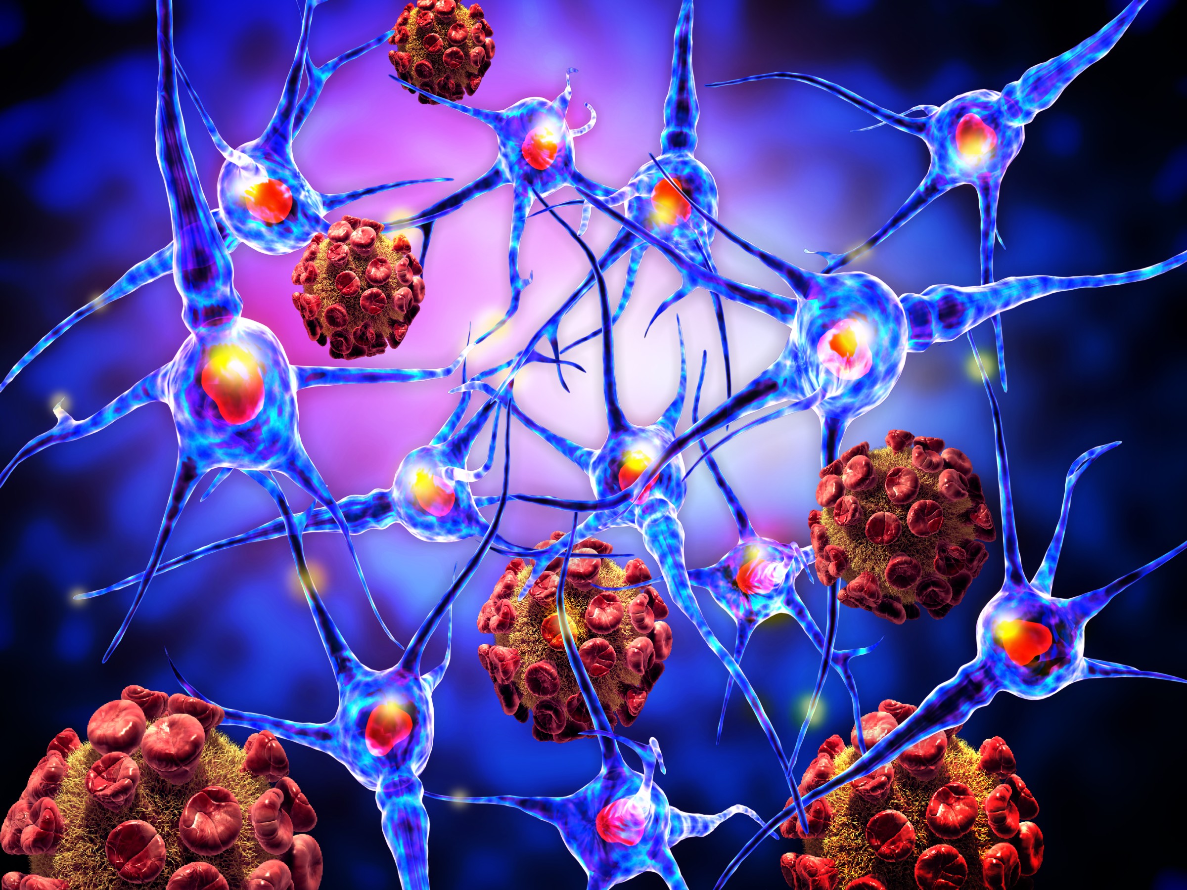 New Study Discovers a Neuro-Immune Connection