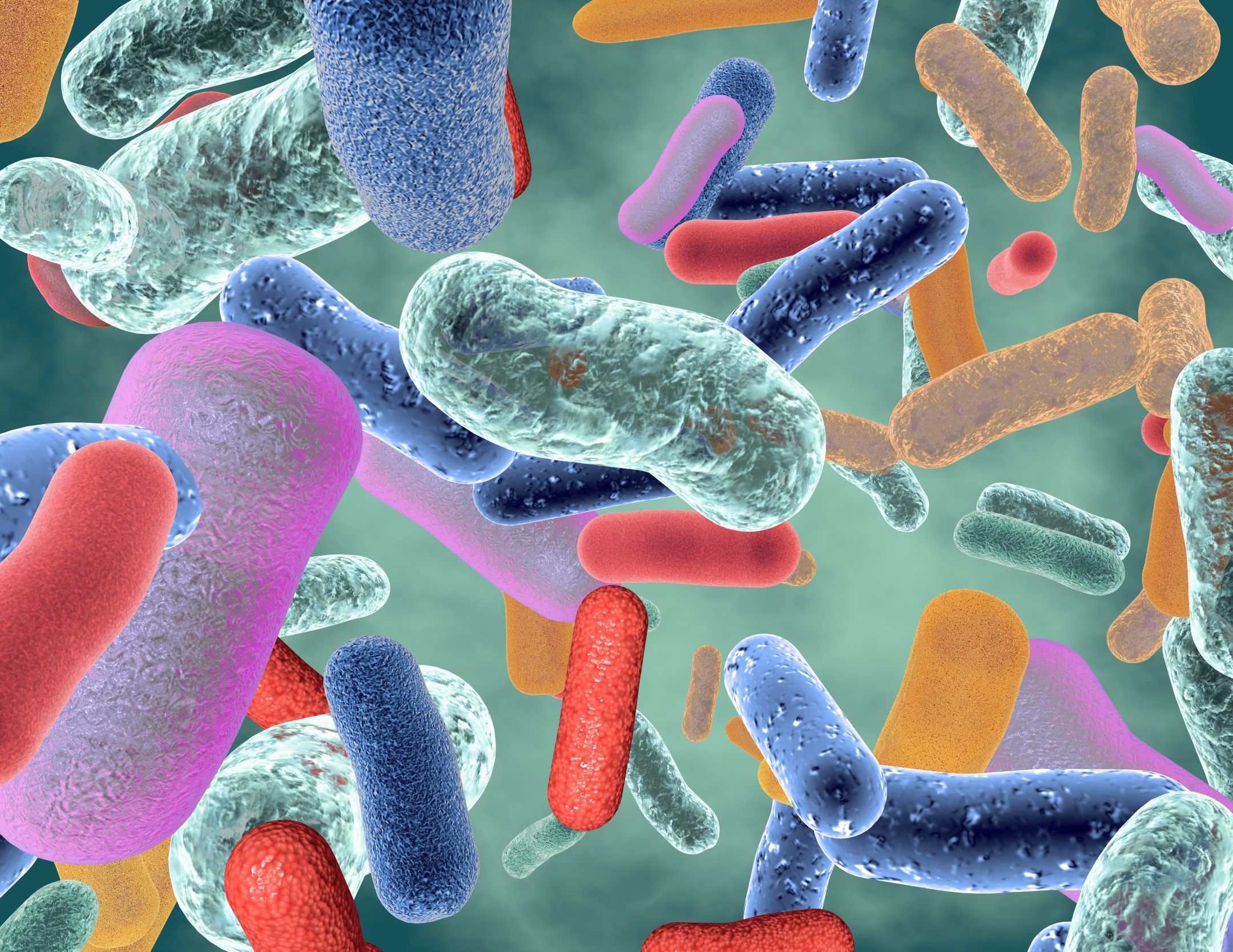 New Study Explores How Probiotics Could Influence US Healthcare Costs