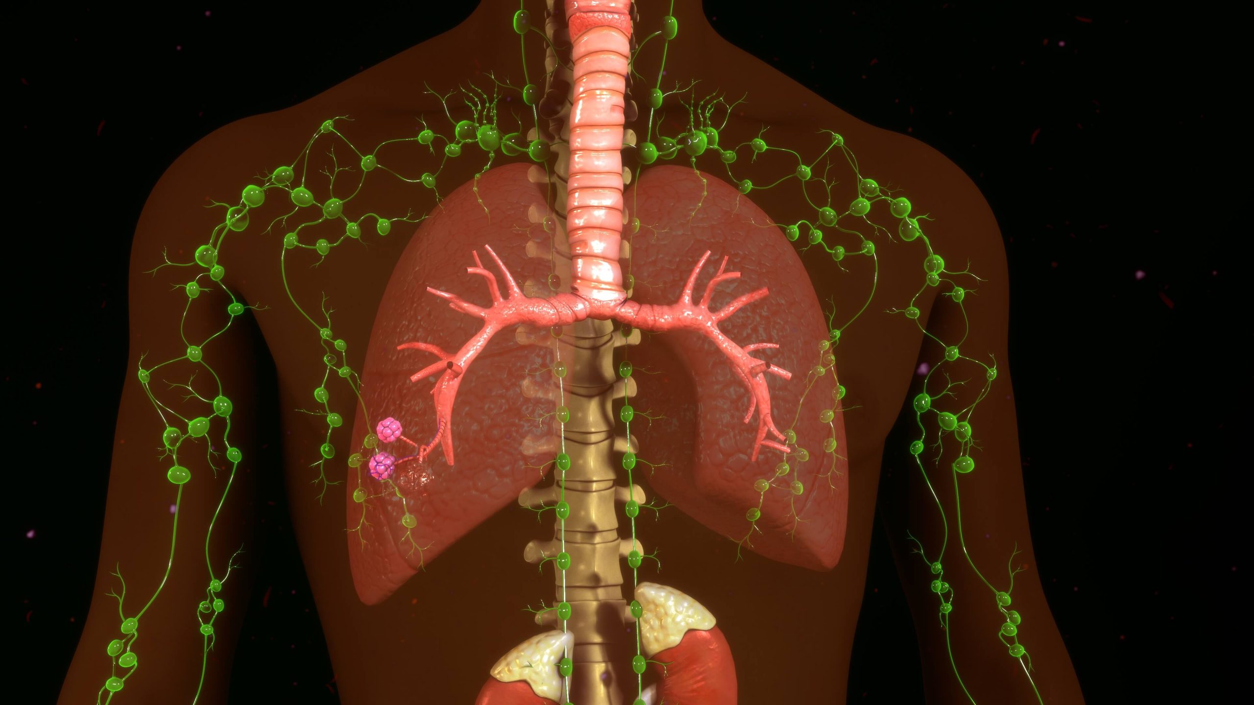 9 Reasons the Lymphatic System Is the Key to Health