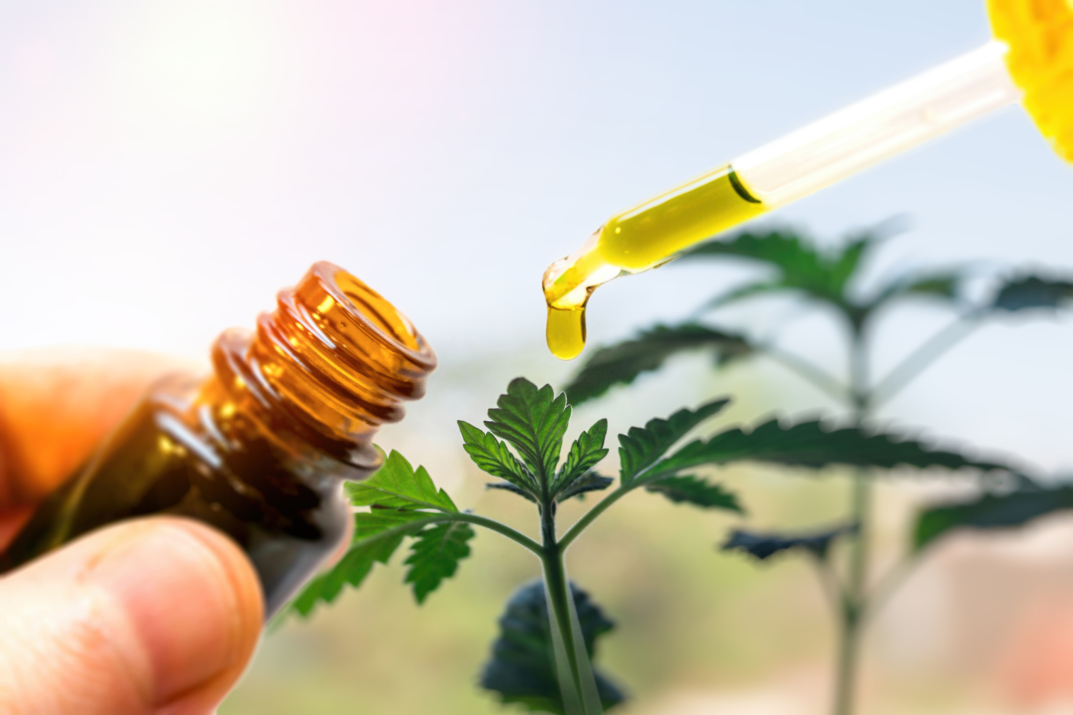 Cannabinoids: The Ultimate Guide