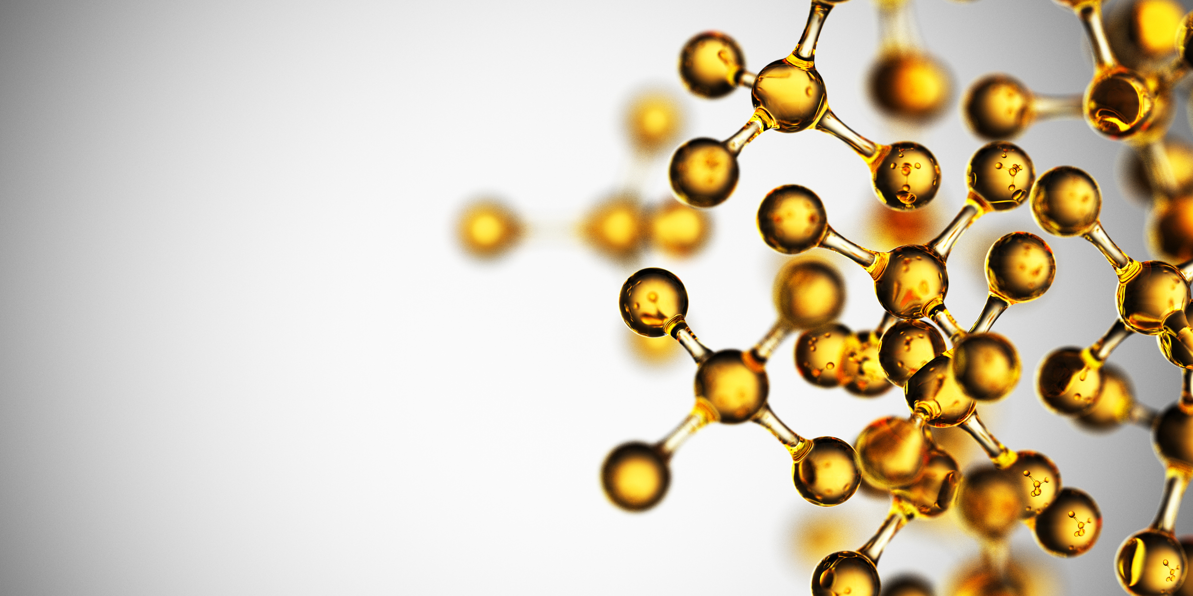 The Role of Fatty Acids in Immunity