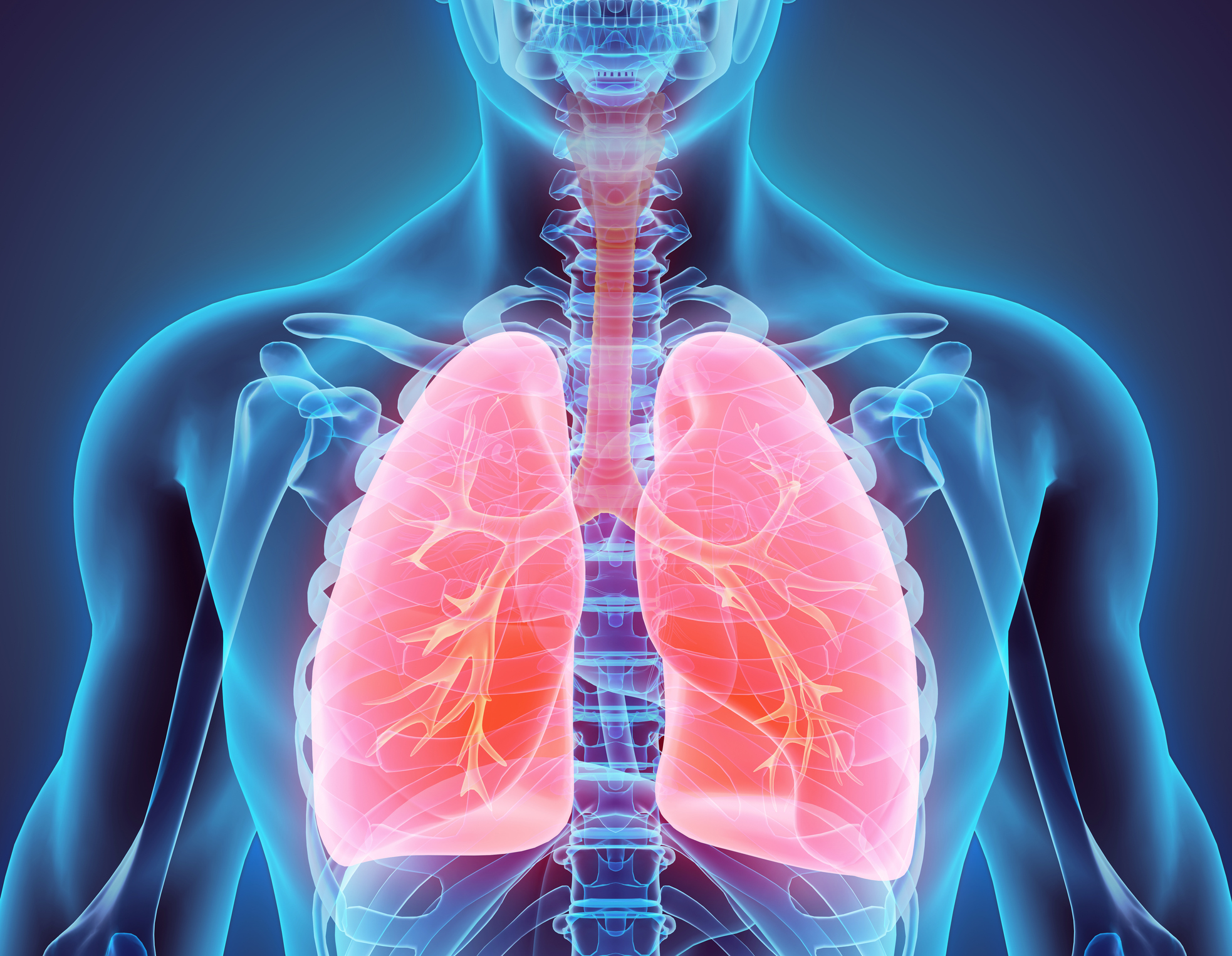 A Recent Study Highlights Importance of DHA in Lung Health