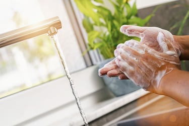 WASH YOUR HANDS AND TAKE YOUR PROBIOTICS