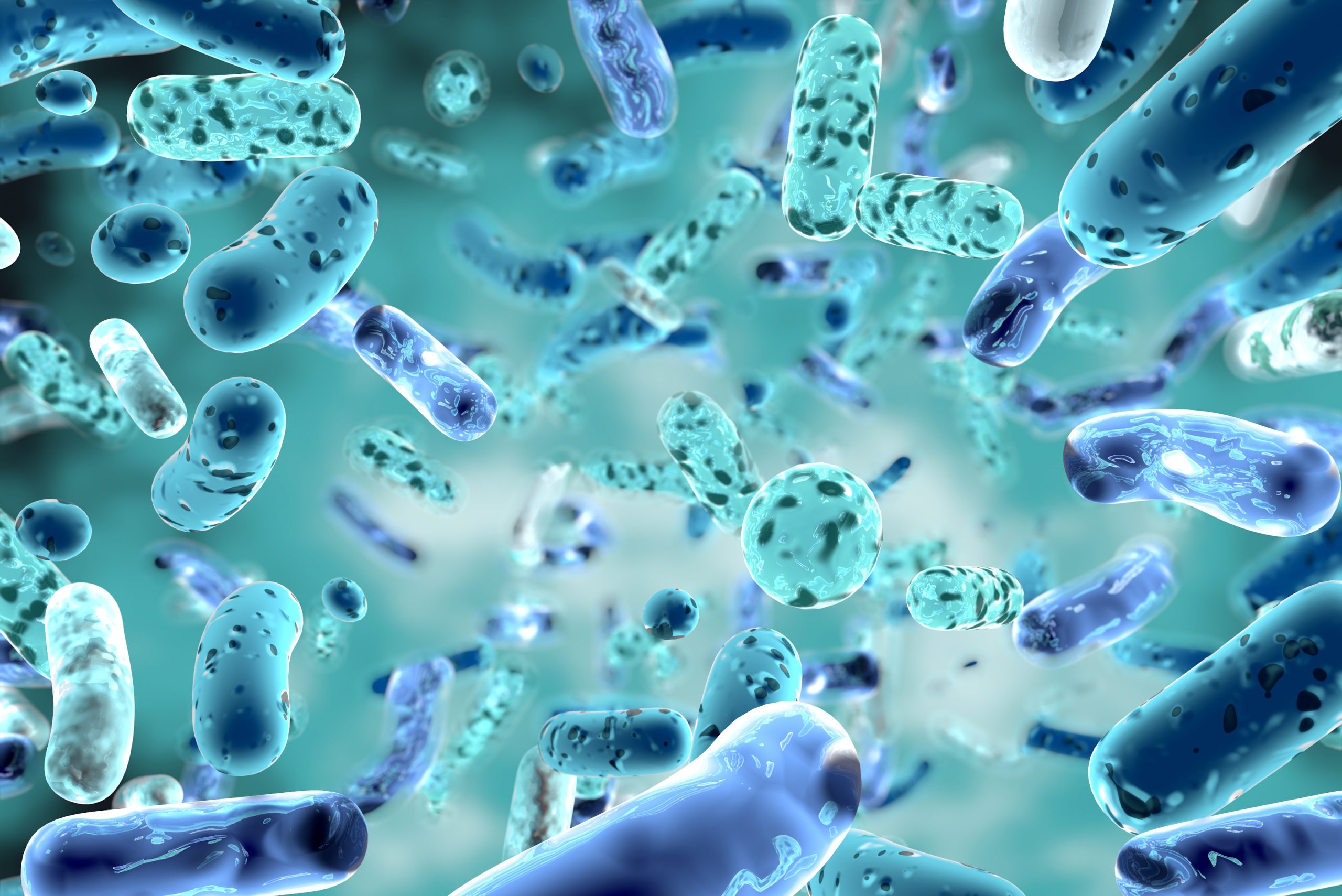 Molecule Links Weight Gain to Gut Bacteria