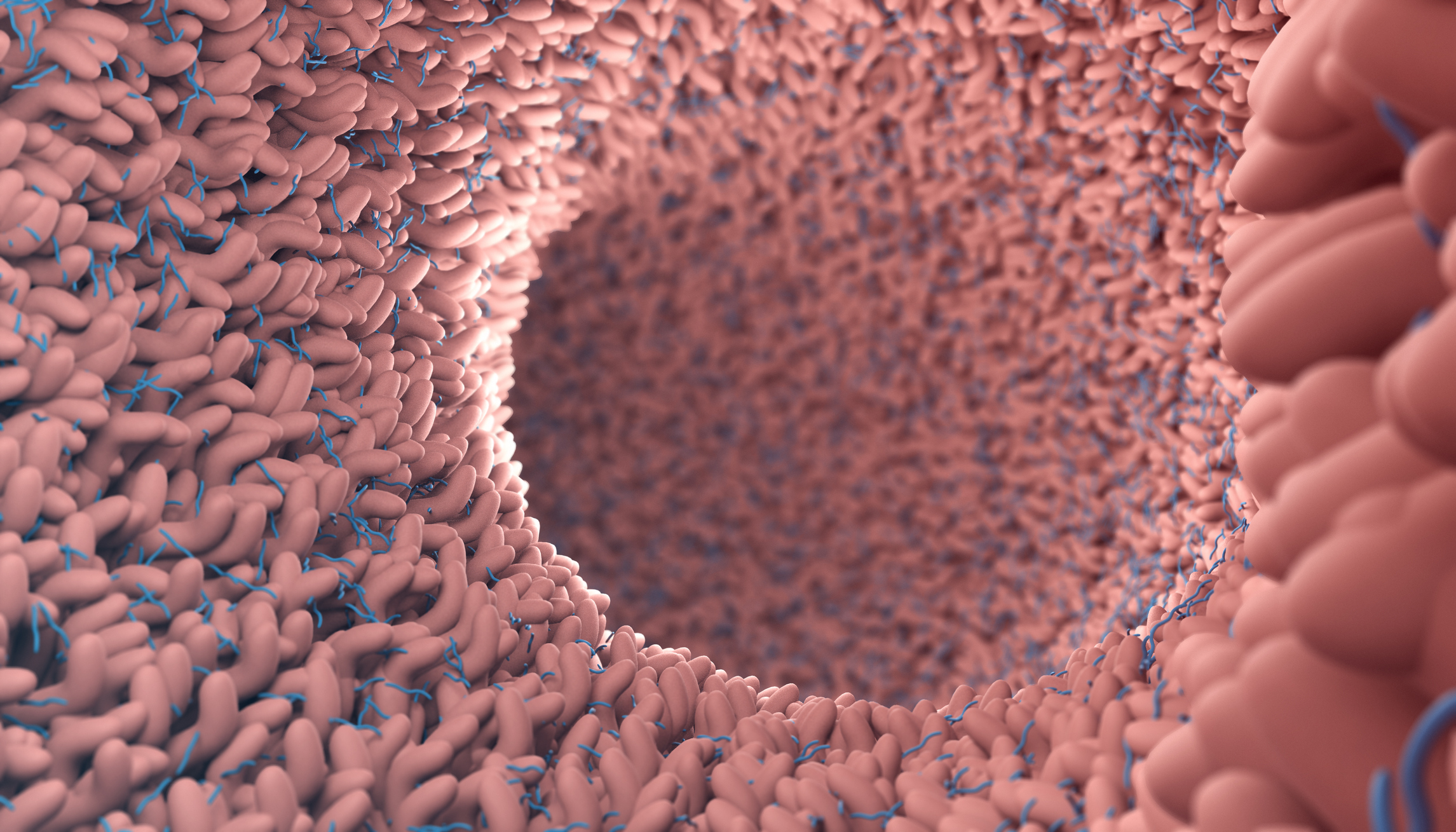 Upregulating Microbiome Health to Boost Immunity