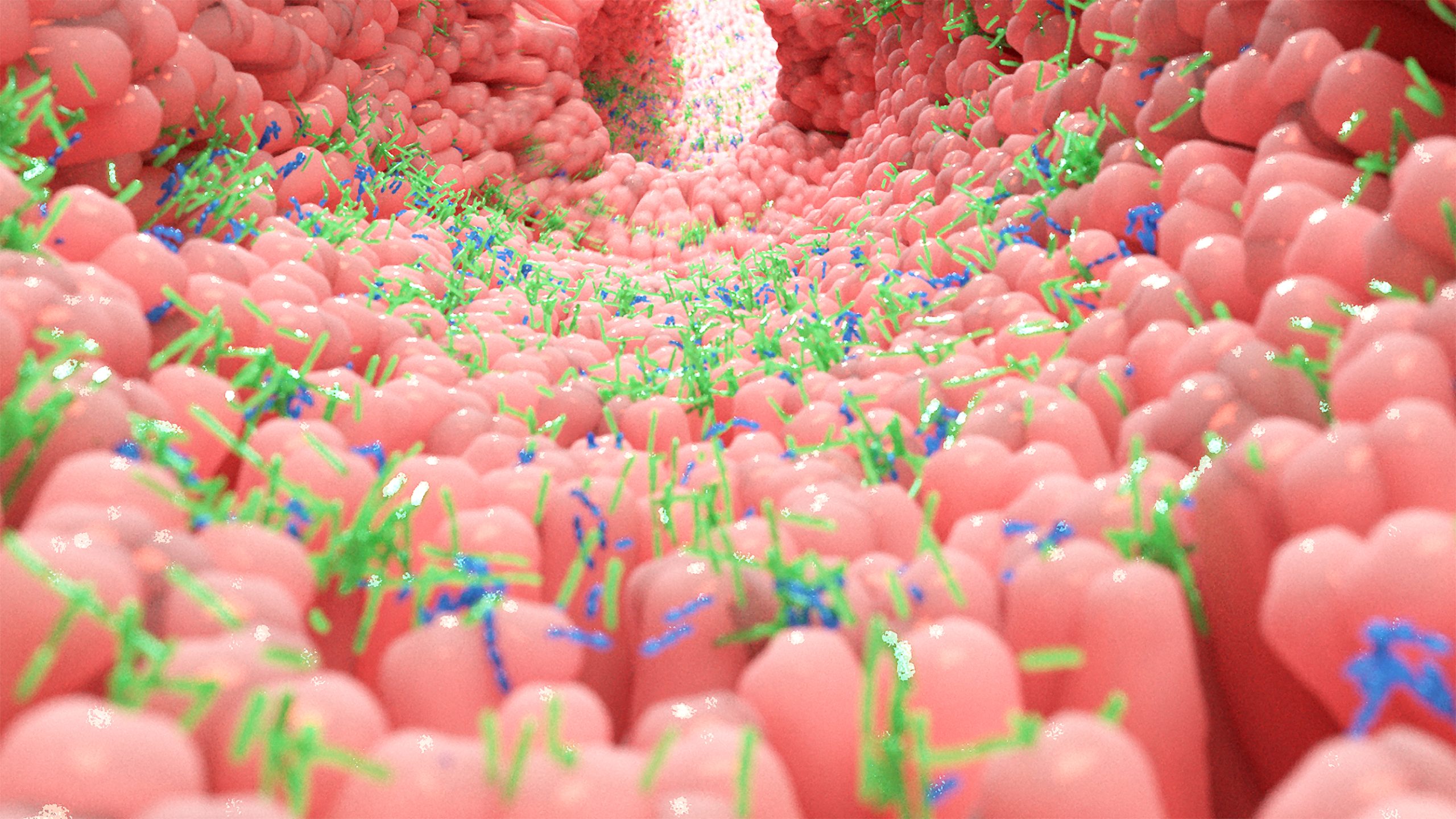 Lean Microbiota vs Obese Microbiota | Systematic Review