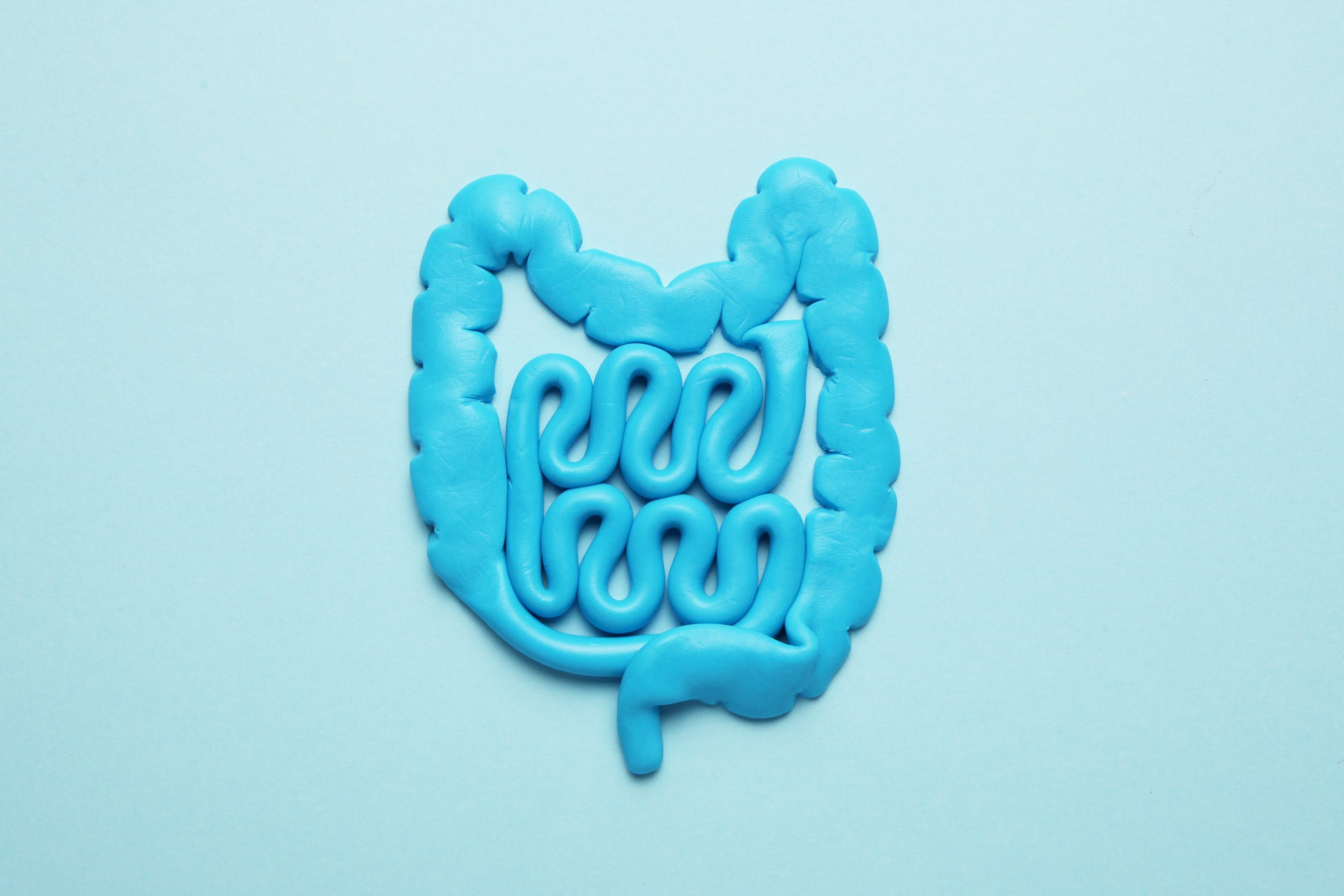 New Study Explores How Gut Immune System Functions
