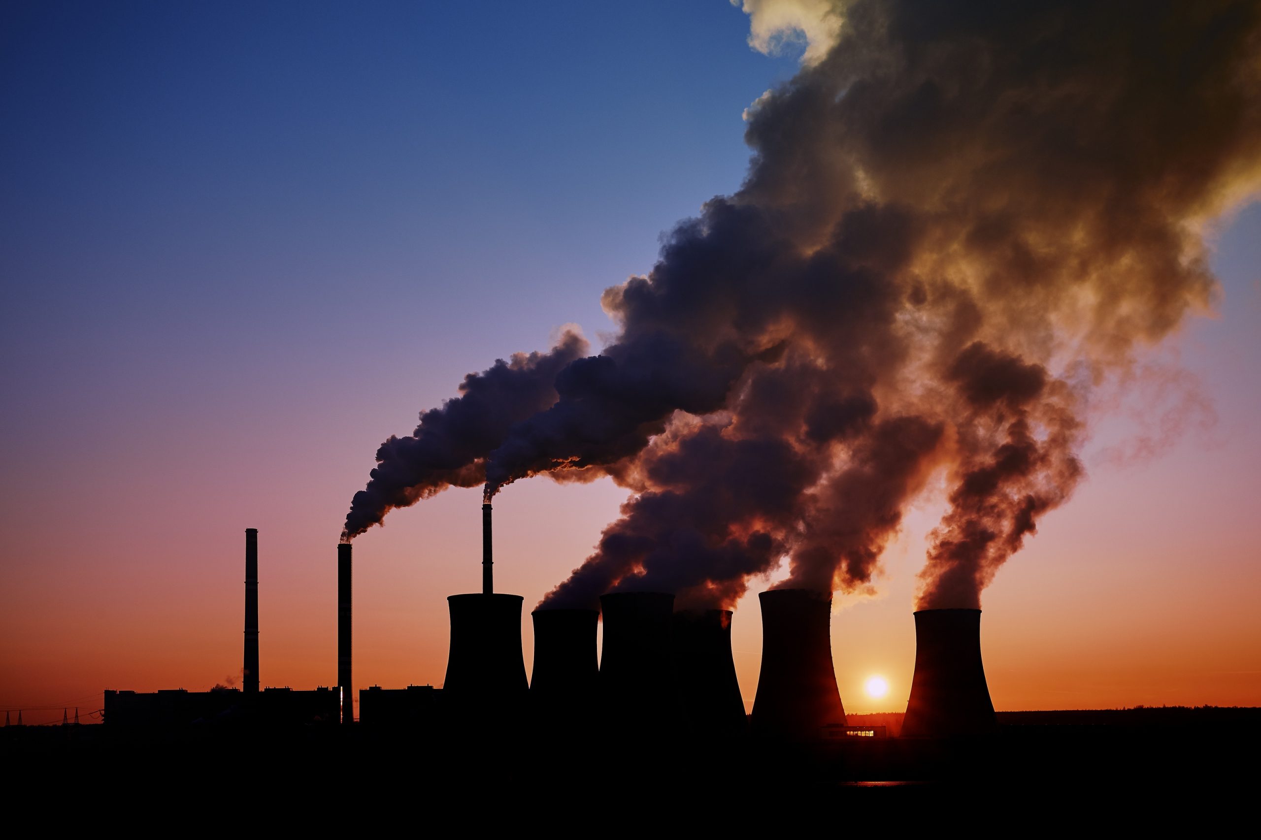 Study Reveals Body’s Detox Mechanism to Cleanse Pollution