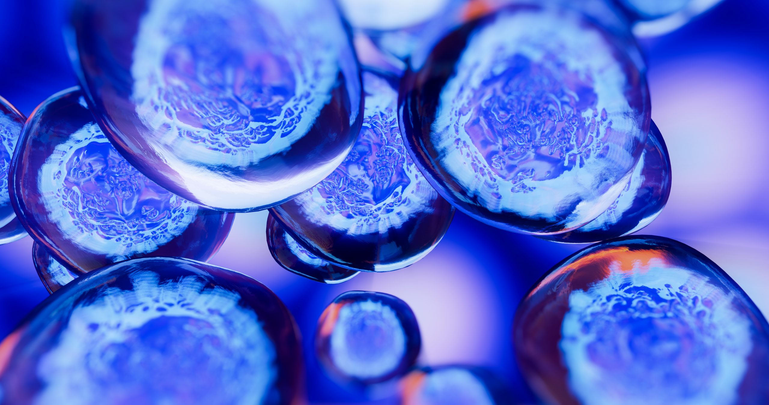 Embryos Show Early Signs of Immune Defense