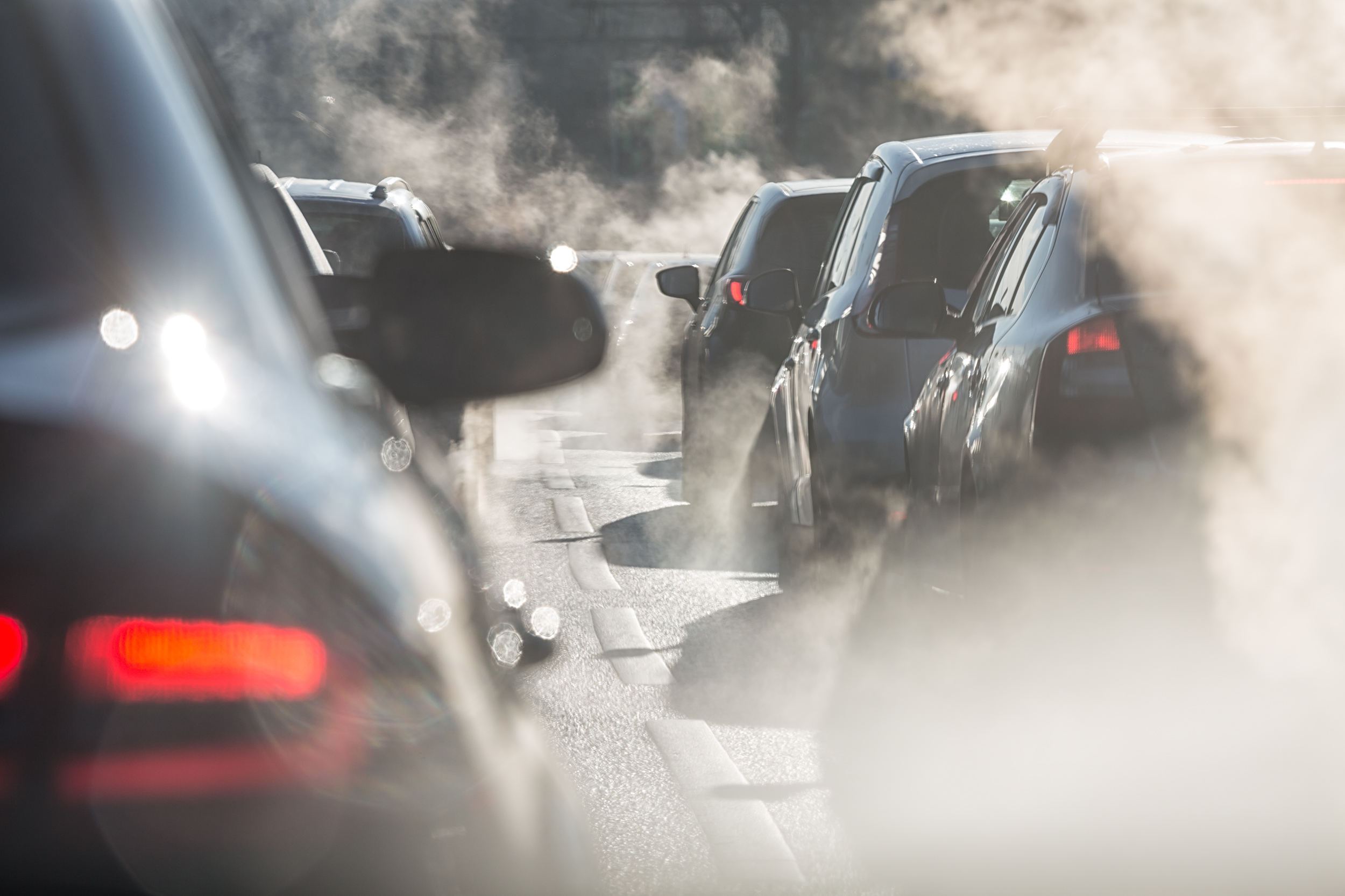 L-Arginine & Air Pollution