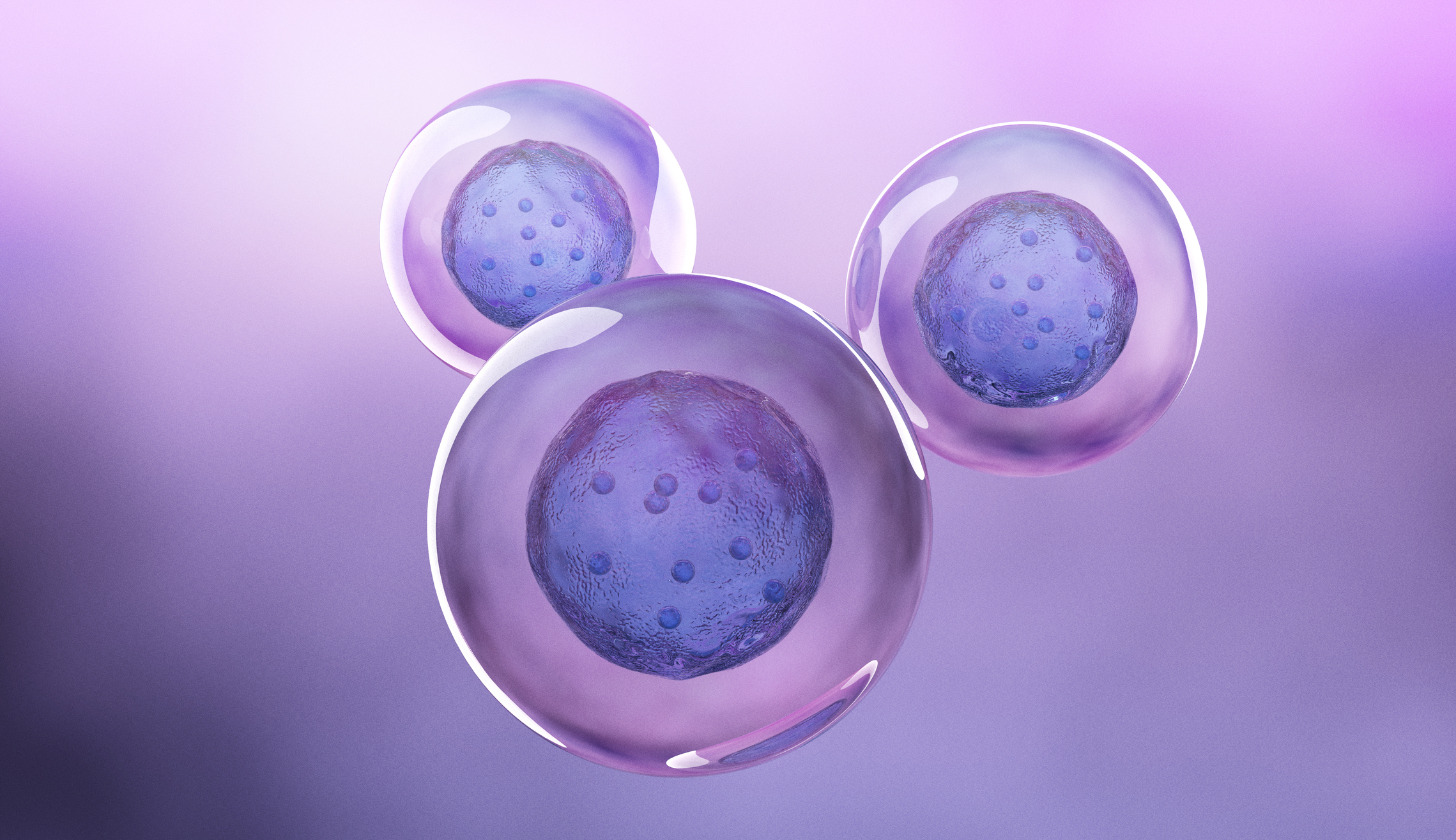 Embryos Show Early Signs of Immune Defense