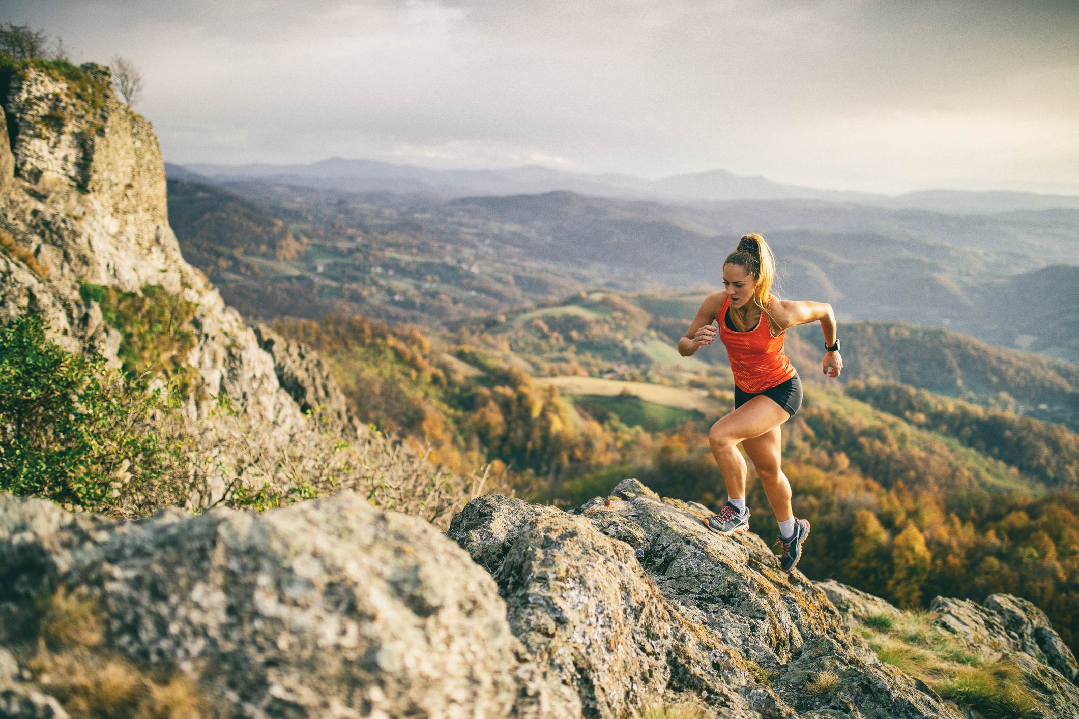 Highly Purified Chondroitin Sulfate for Muscular Health