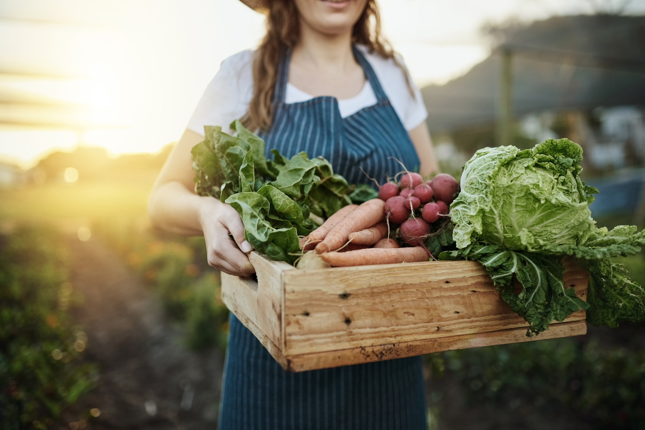 Metabolomic Changes of an Organic Diet