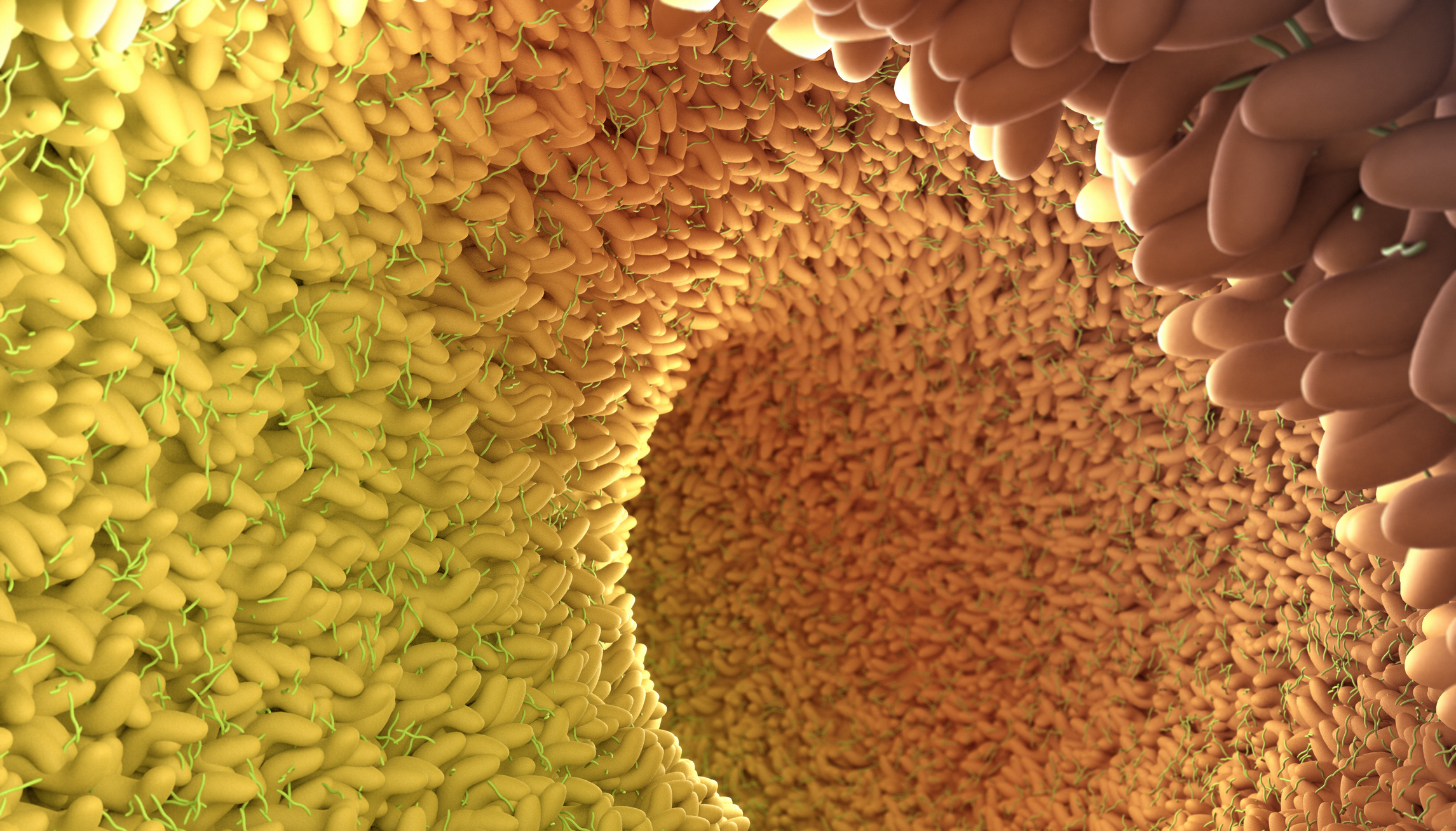 An Atlas of Gut Microbiota Plasma Metabolites