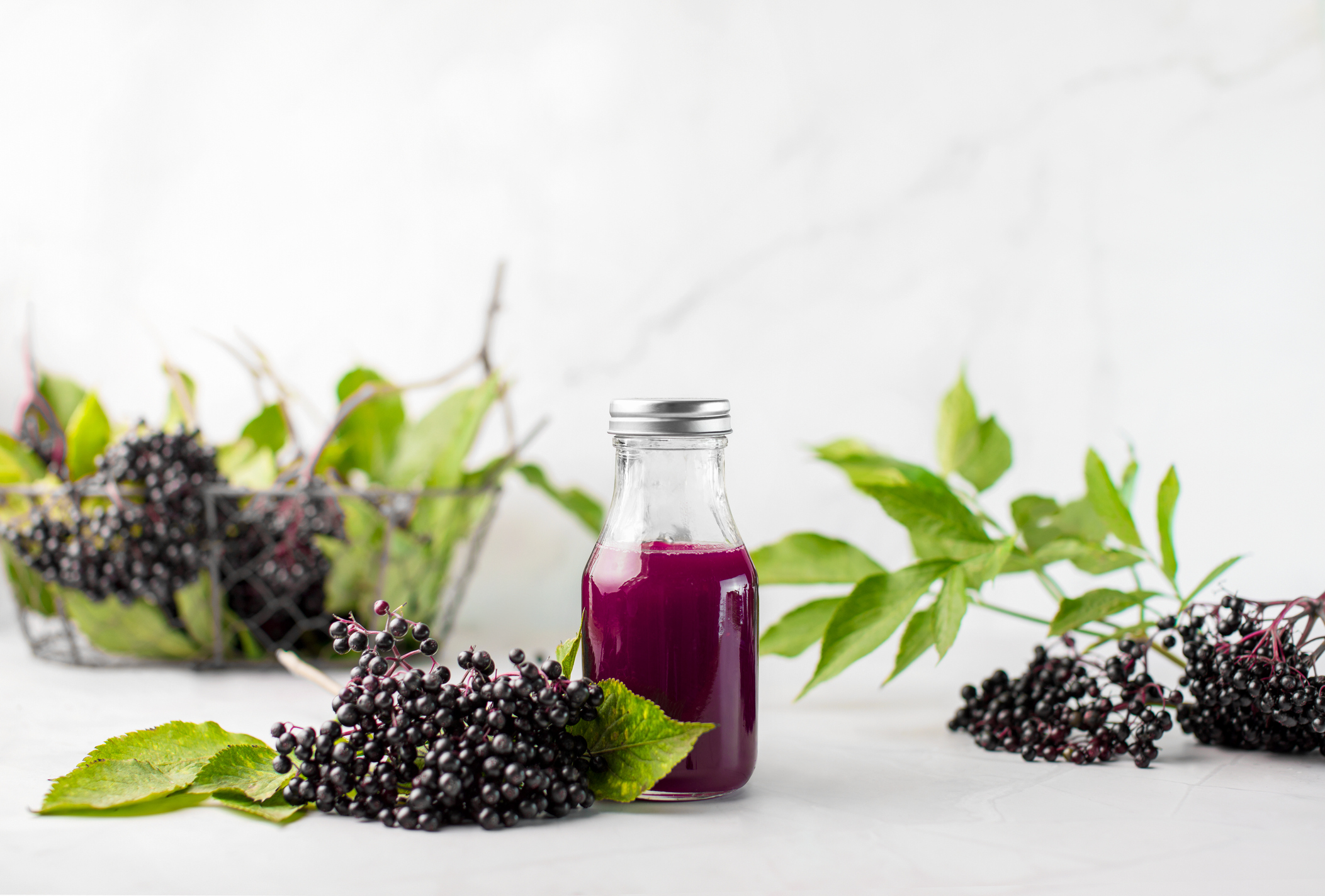 Elderberry & Immune Health
