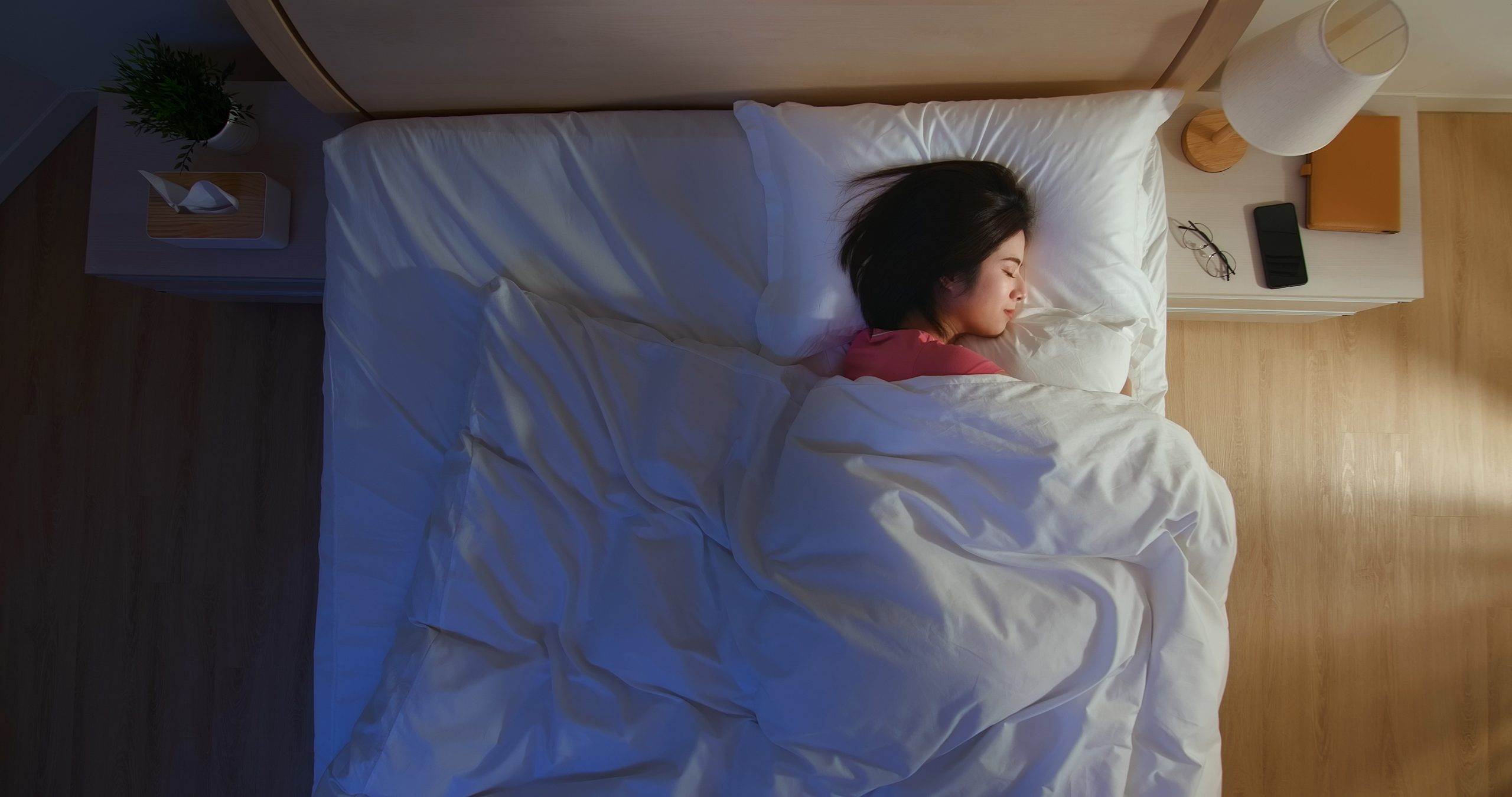 Sleep: Your Night Job
