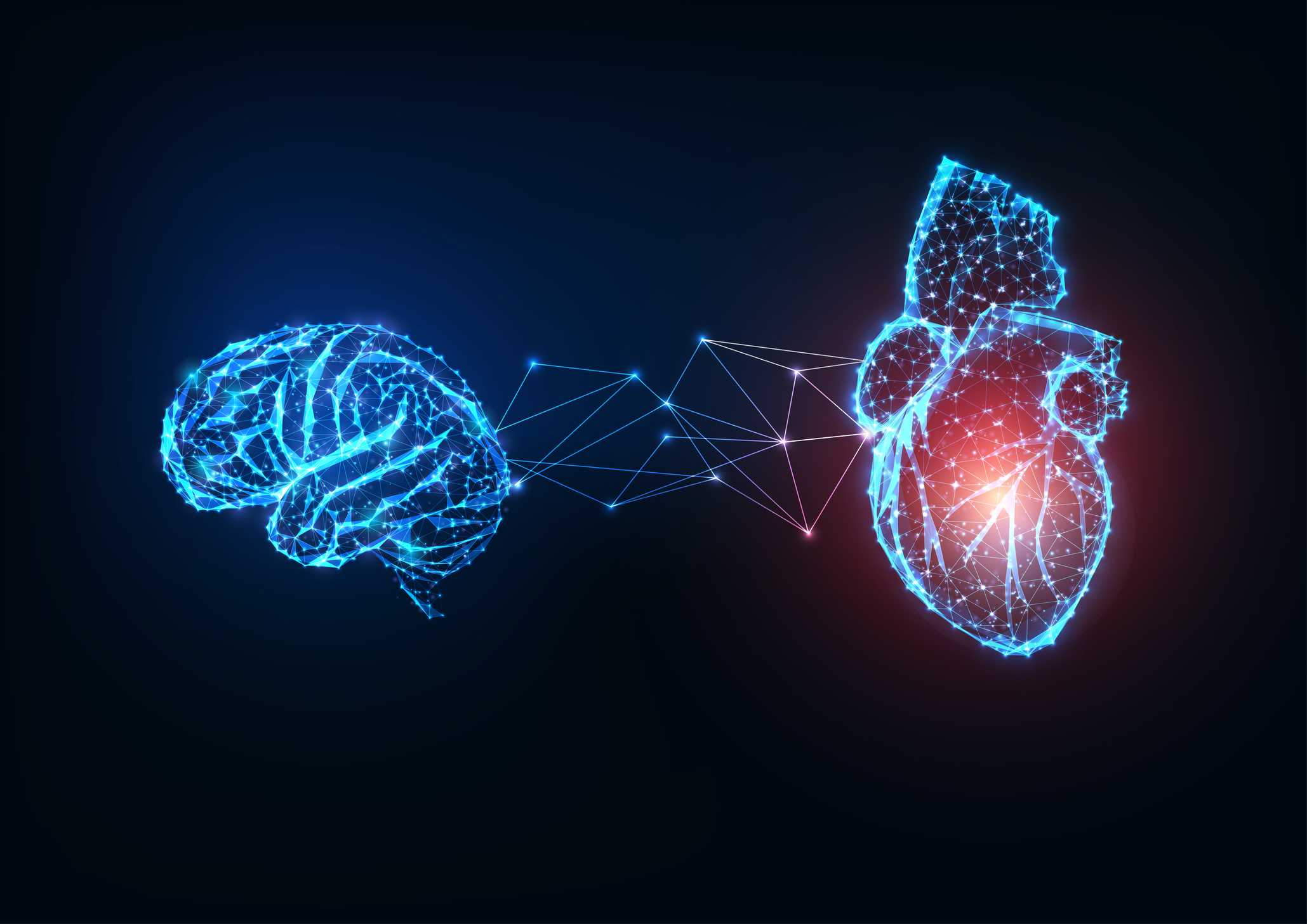 Berberine: The Gut-Brain-Heart Connection