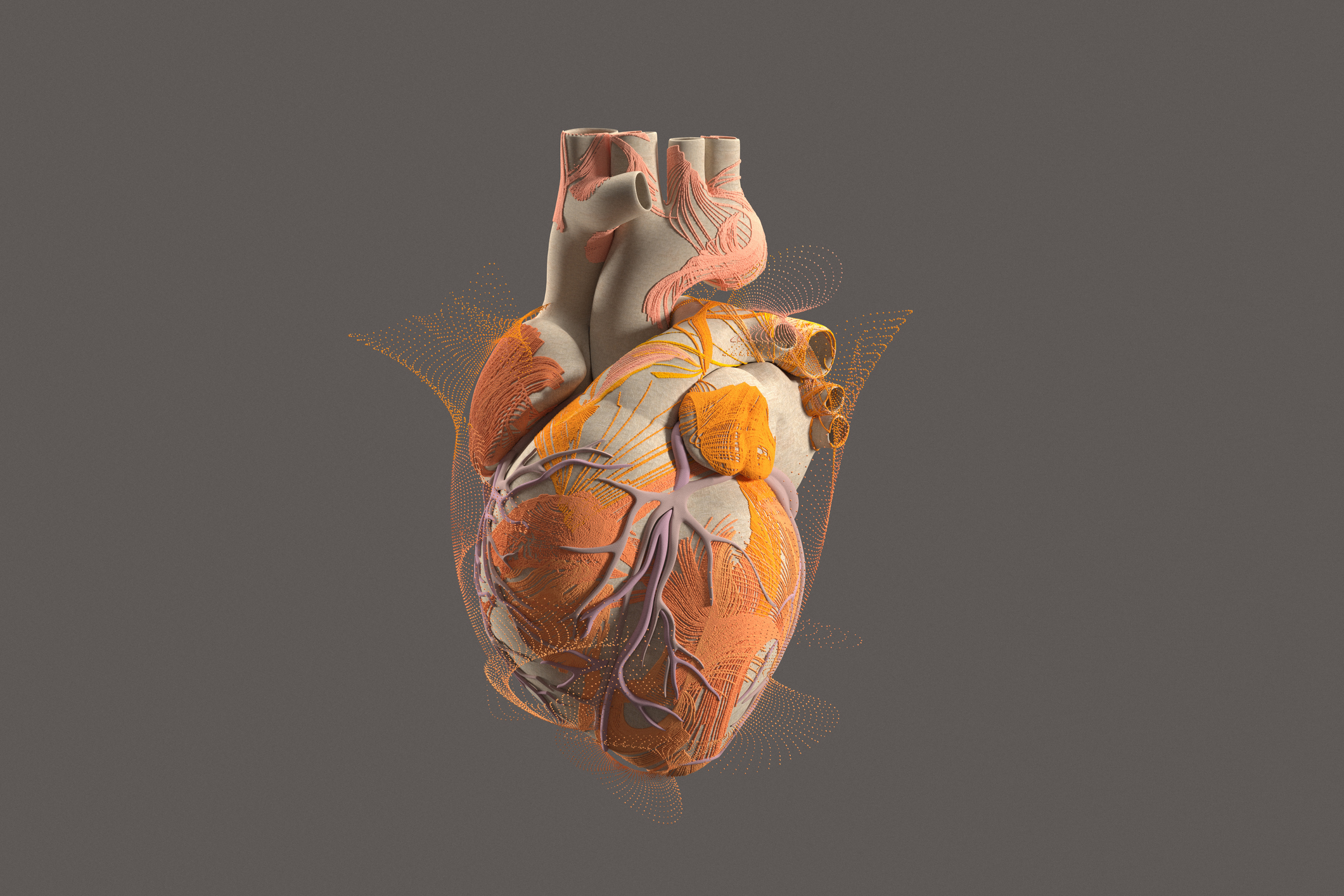 Estrogen Levels & Arrhythmias