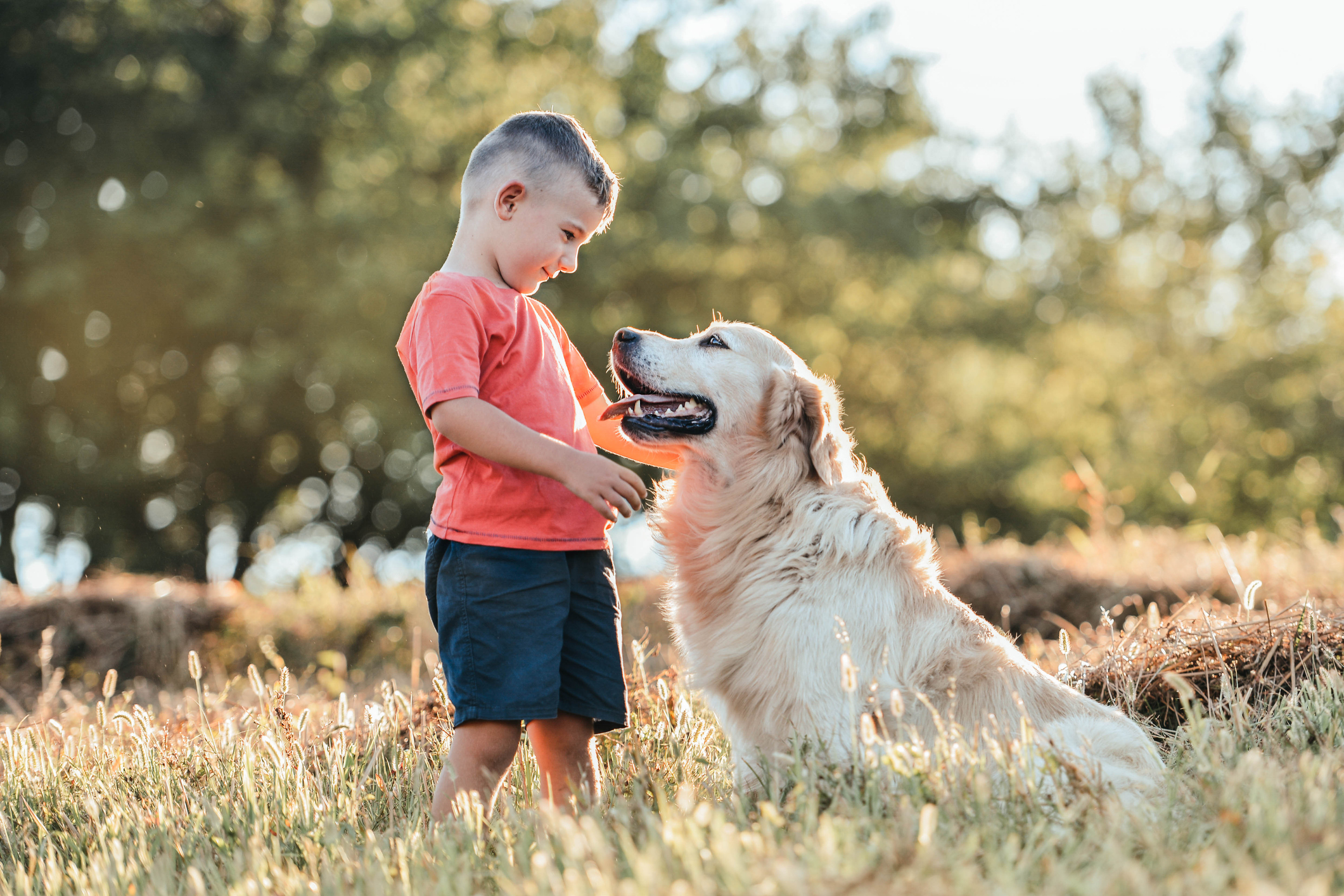 Pets & Food Allergies