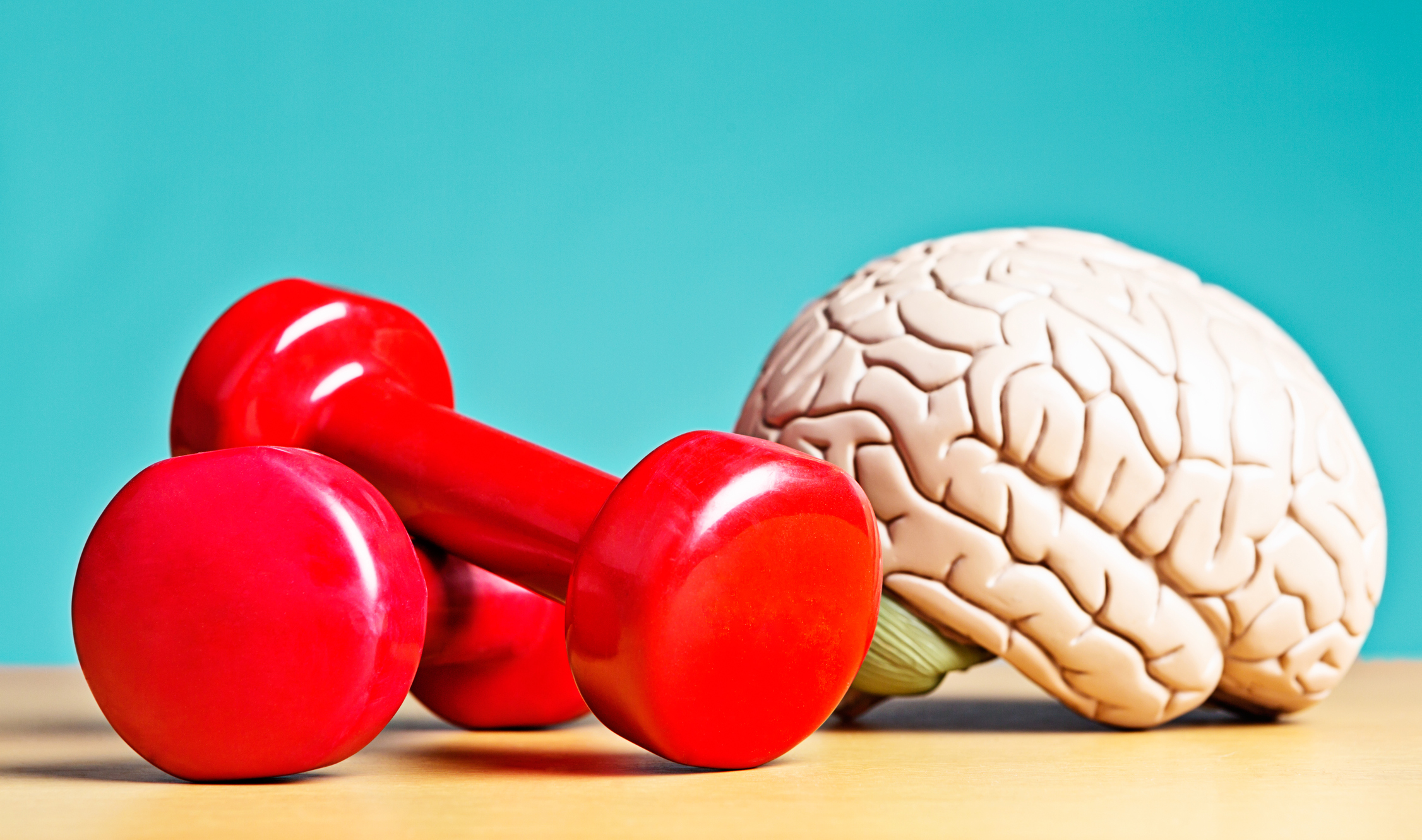 Sleep, Exercise & Cognitive Function