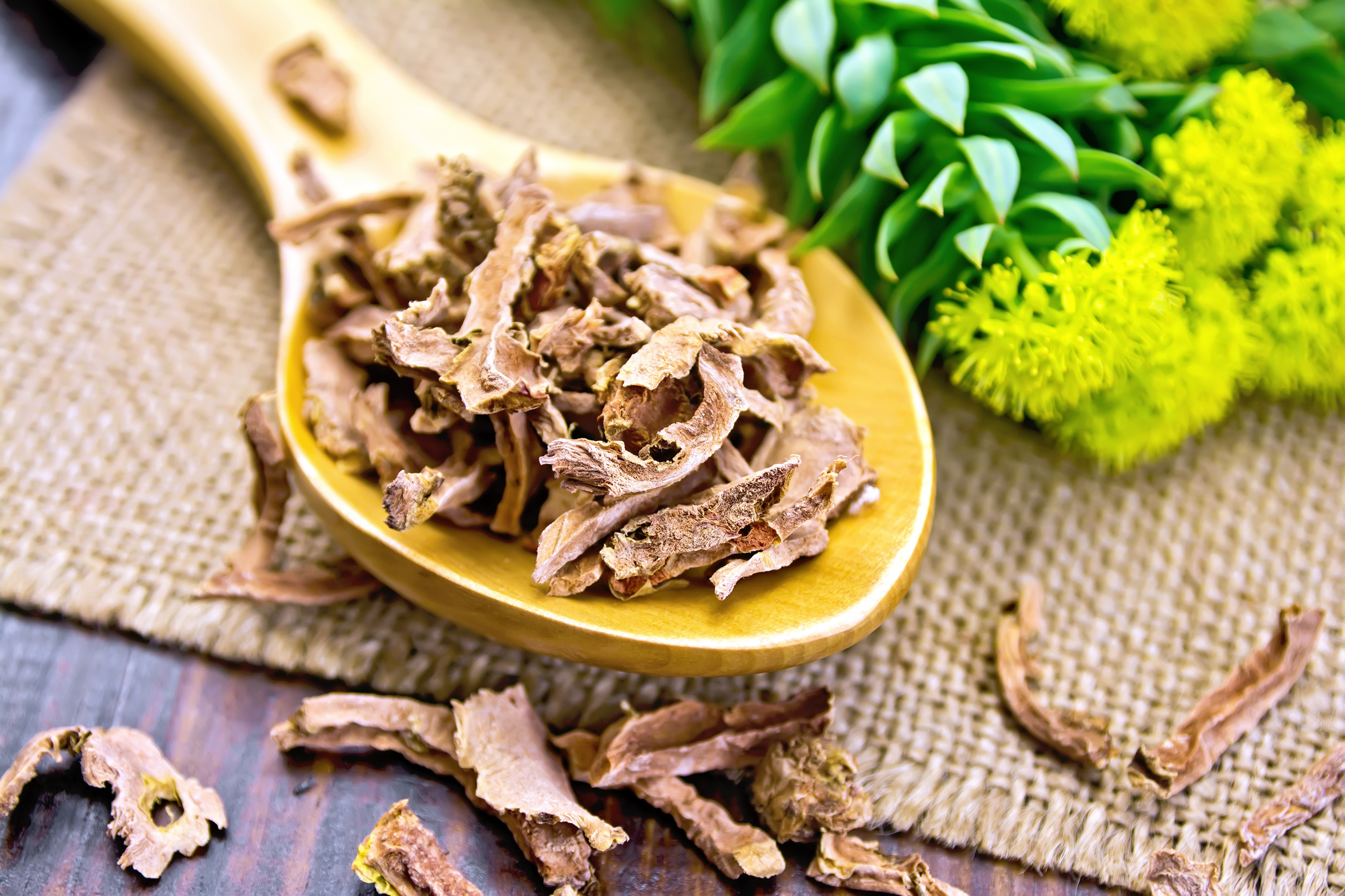 Rhodiola & Menopause