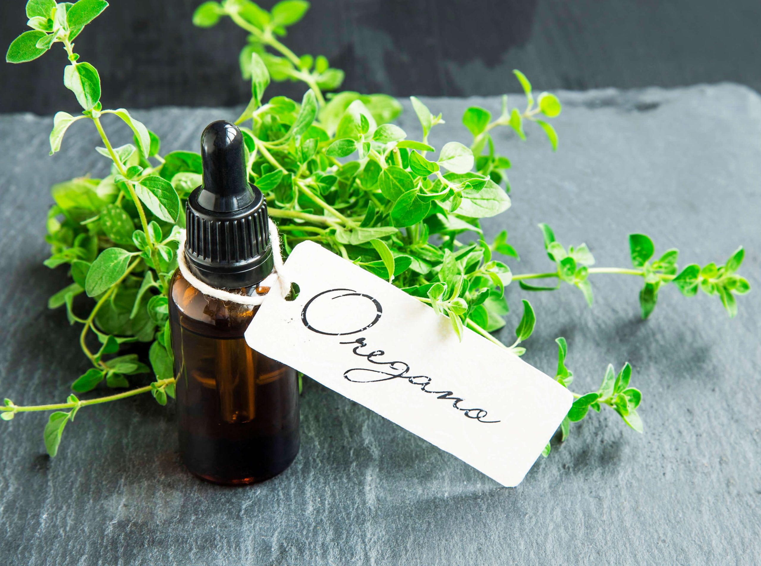 Spice Up Your Microbial Health