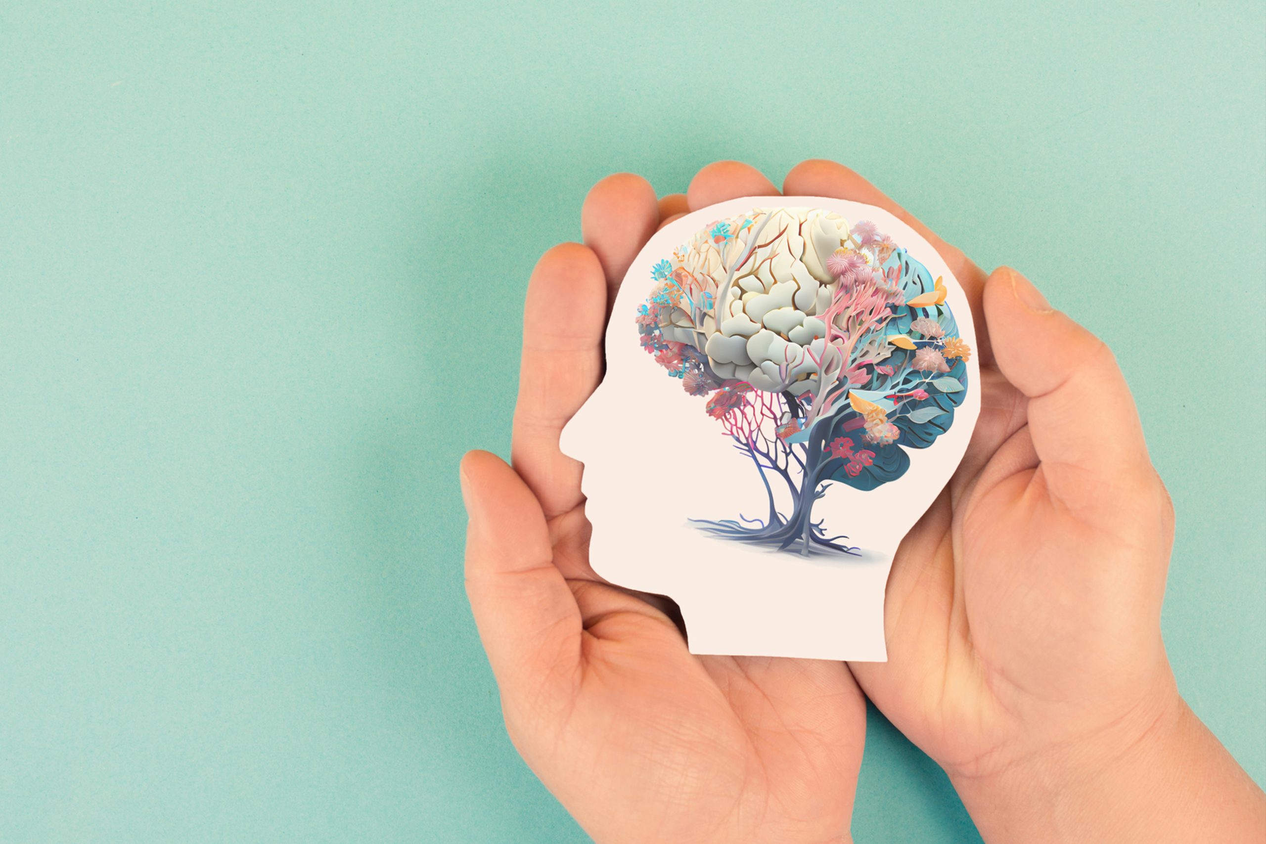 Prebiotics & Cognitive Function