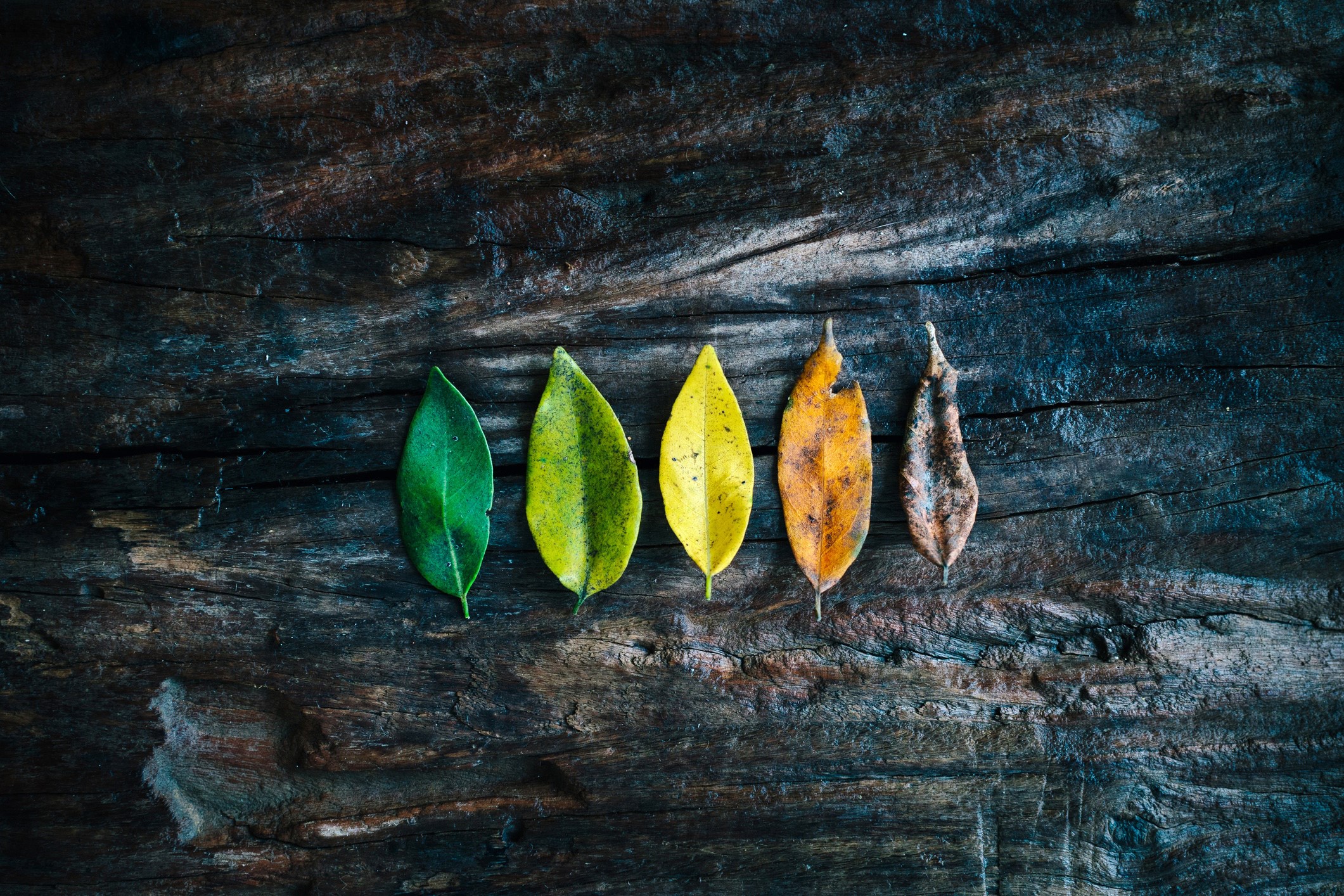 Niacin, NAFLD & Mortality