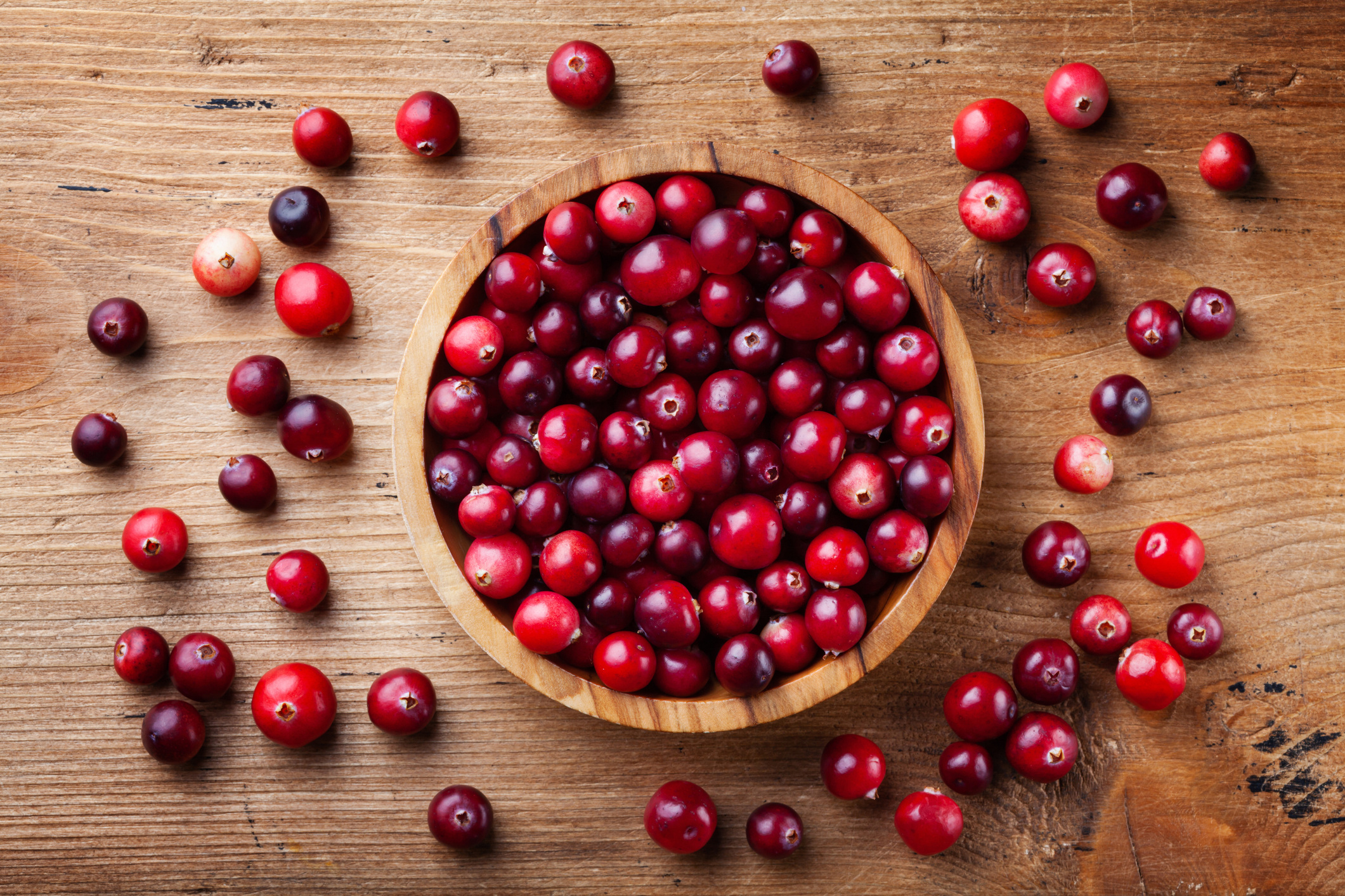 Cranberry Extract & the Microbiota